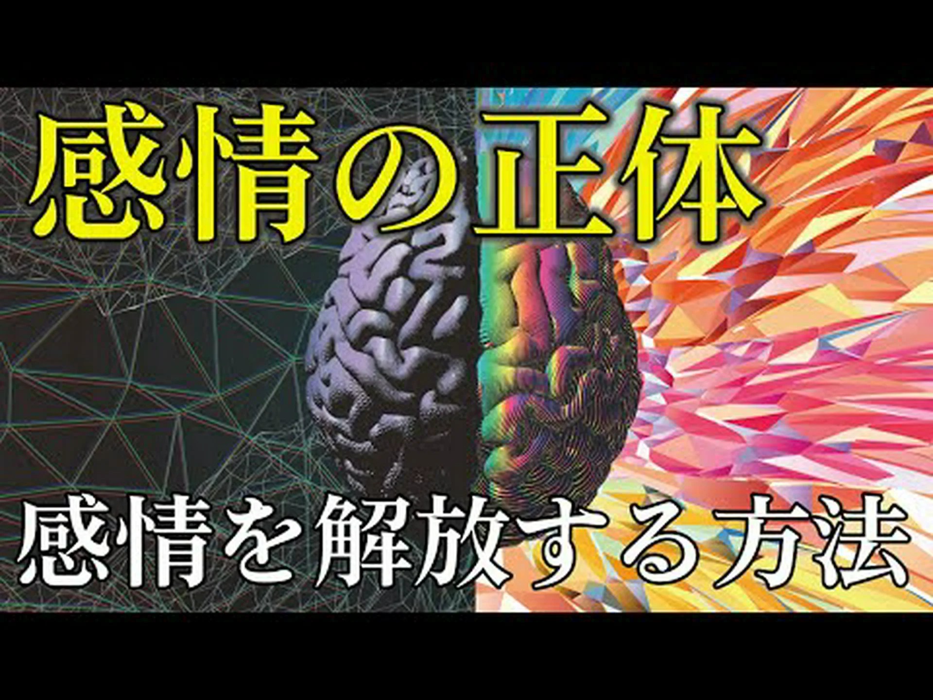感情の麻痺:その正体、原因、治療方法 感情の麻痺:その正体、原因、治療方法