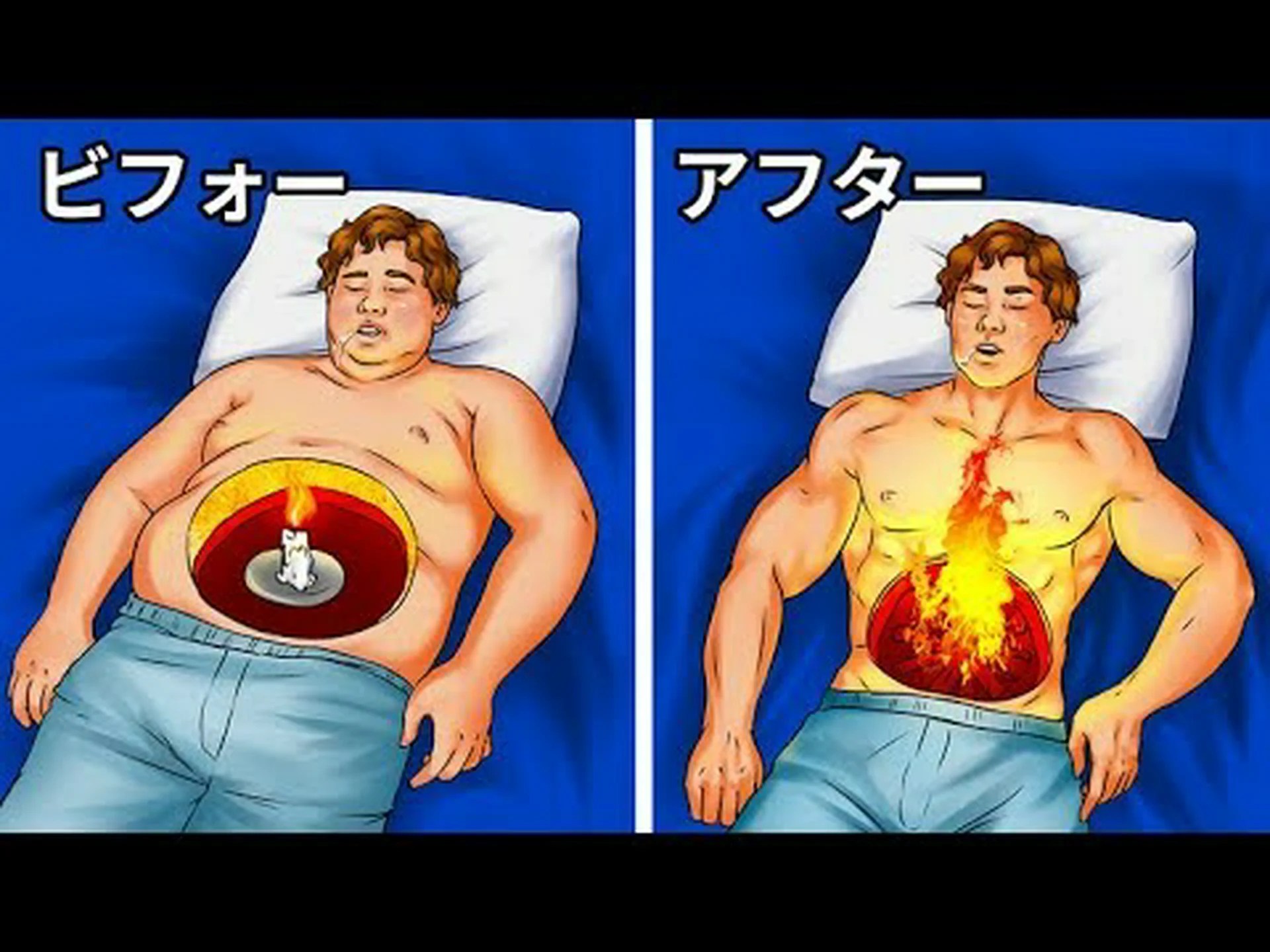 メラトリムは体重を減らすのに役立ちますか?仕組み、使い方、お手入れ方法 メラトリムは体重を減らすのに役立ちますか?仕組み、使い方、お手入れ方法