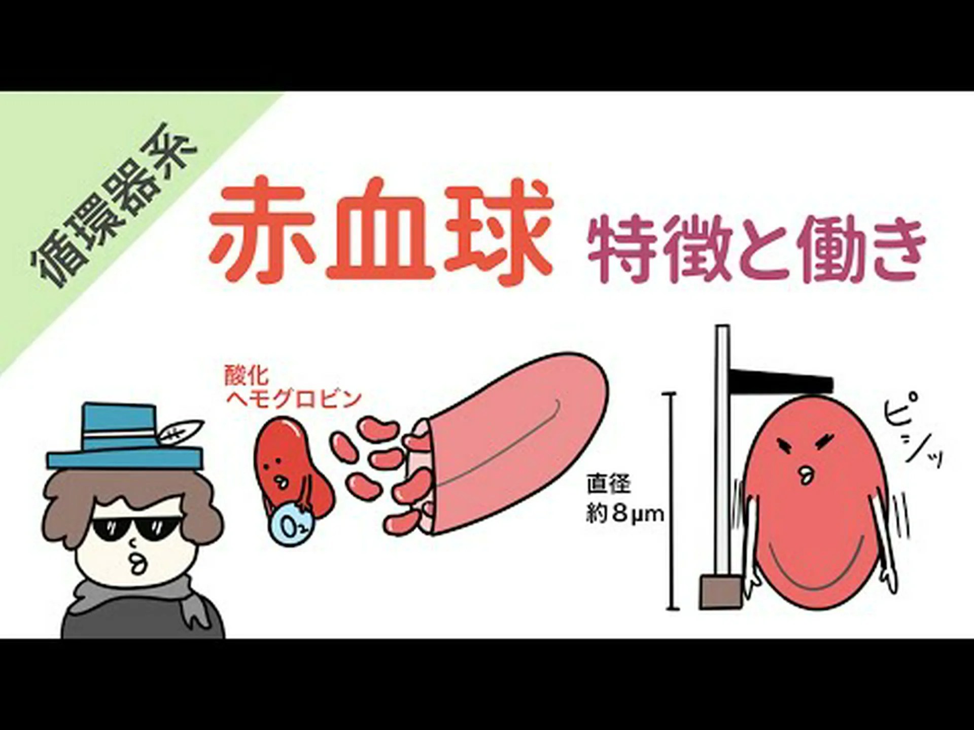 尿中の赤血球 - 赤血球の可能性とその対処法 尿中の赤血球 - 赤血球の可能性とその対処法