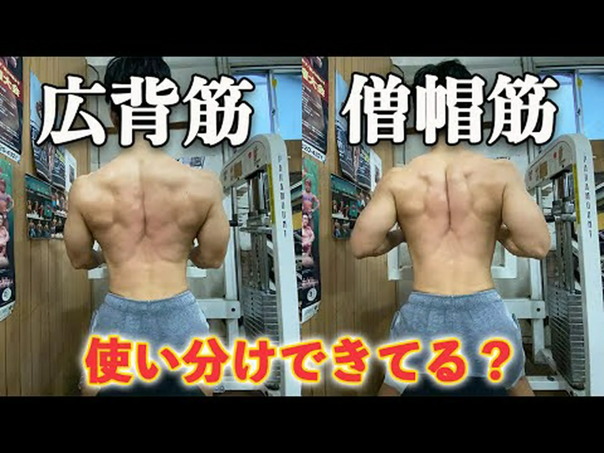 ケーブルと背中の三角を使ったシーテッドロー – やり方とよくある間違い ケーブルと背中の三角を使ったシーテッドロー – やり方とよくある間違い