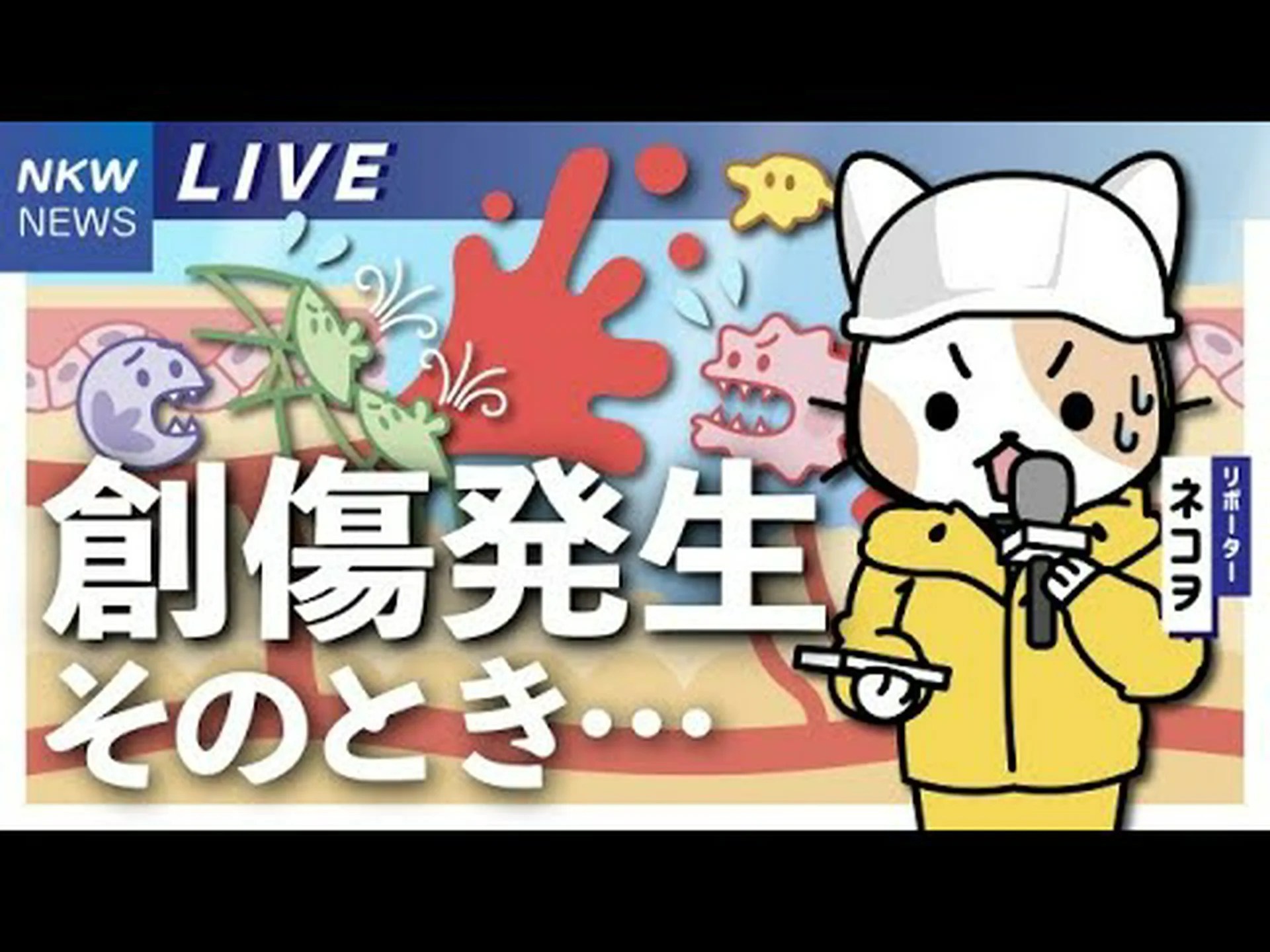 人工皮膚は研究で創傷治癒に役立つ 人工皮膚は研究で創傷治癒に役立つ