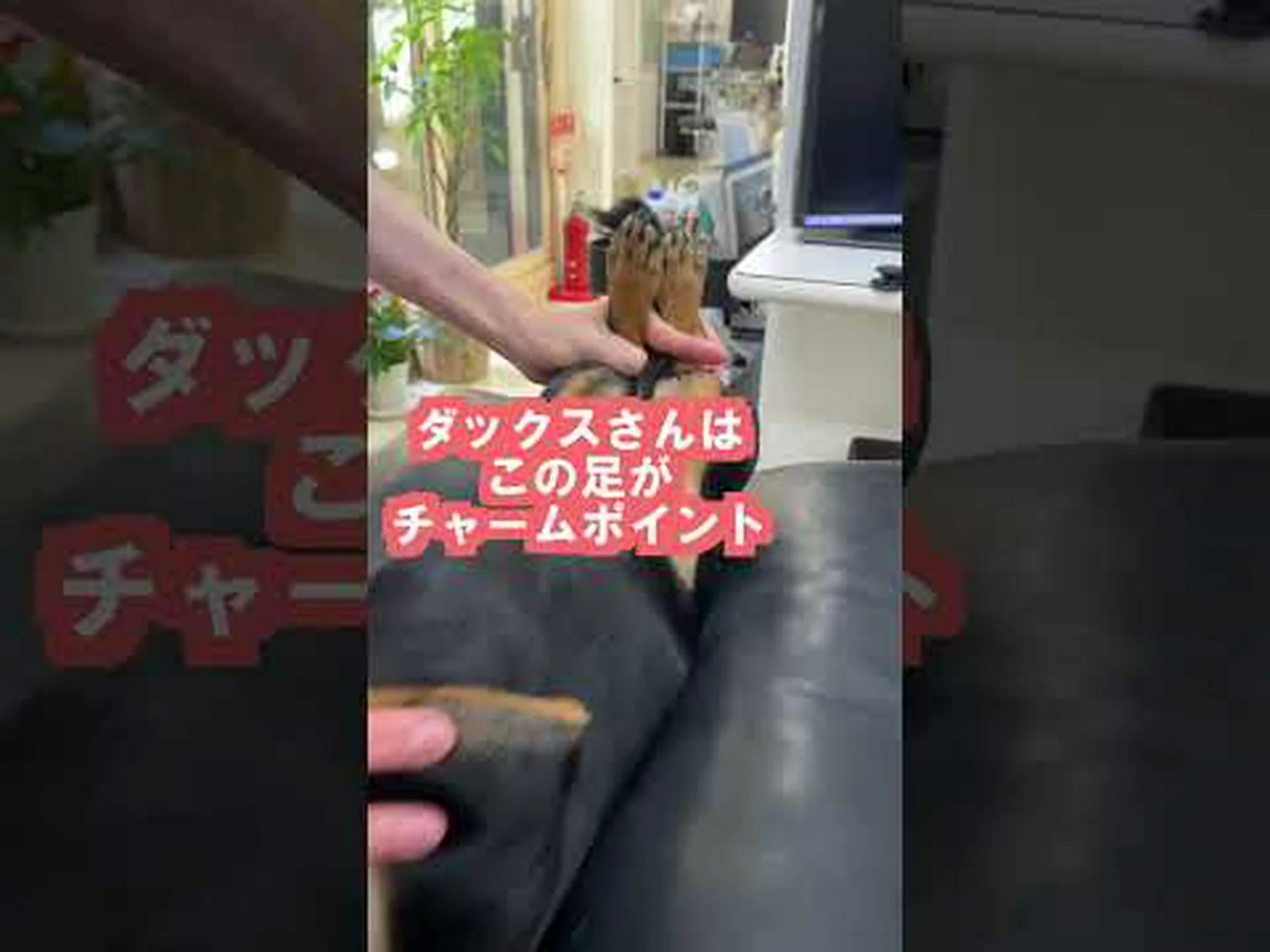 インダックスは太りますか?目的、使用方法、副作用 インダックスは太りますか?目的、使用方法、副作用