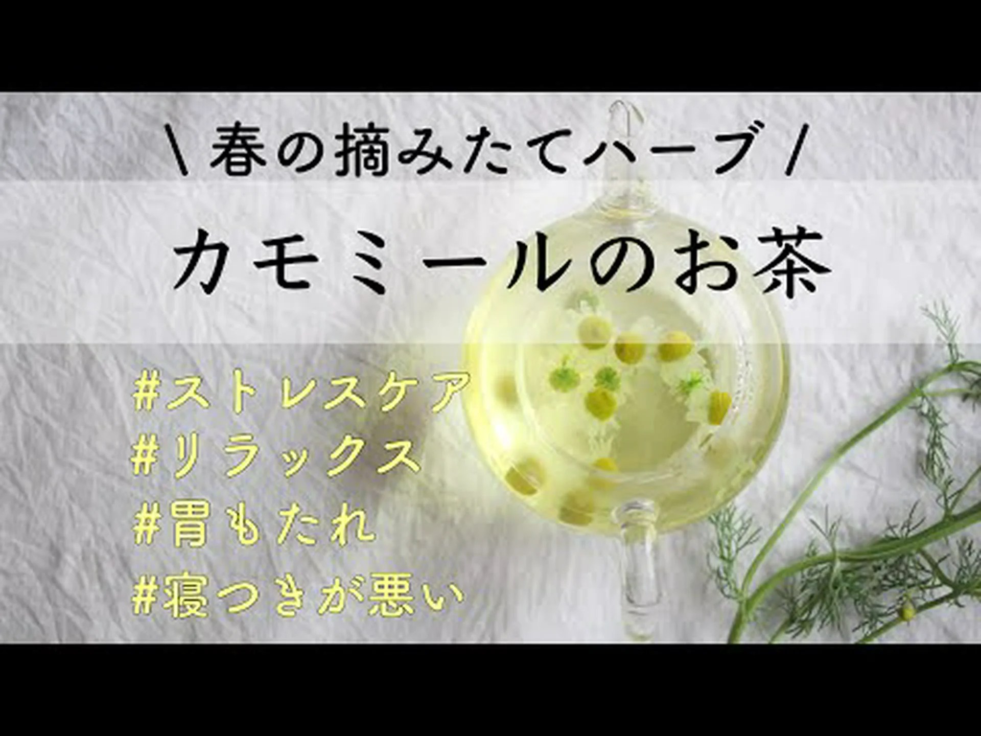 カモミールティーの作り方 – レシピとヒント カモミールティーの作り方 – レシピとヒント