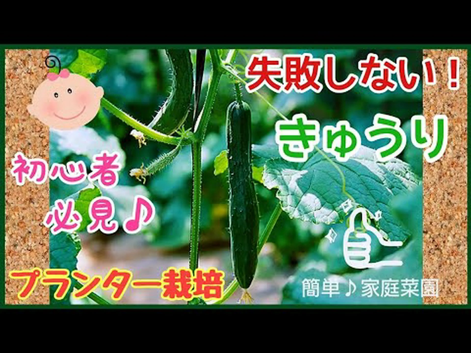 自宅でキュウリを植える方法 – ステップバイステップとケア 自宅でキュウリを植える方法 – ステップバイステップとケア
