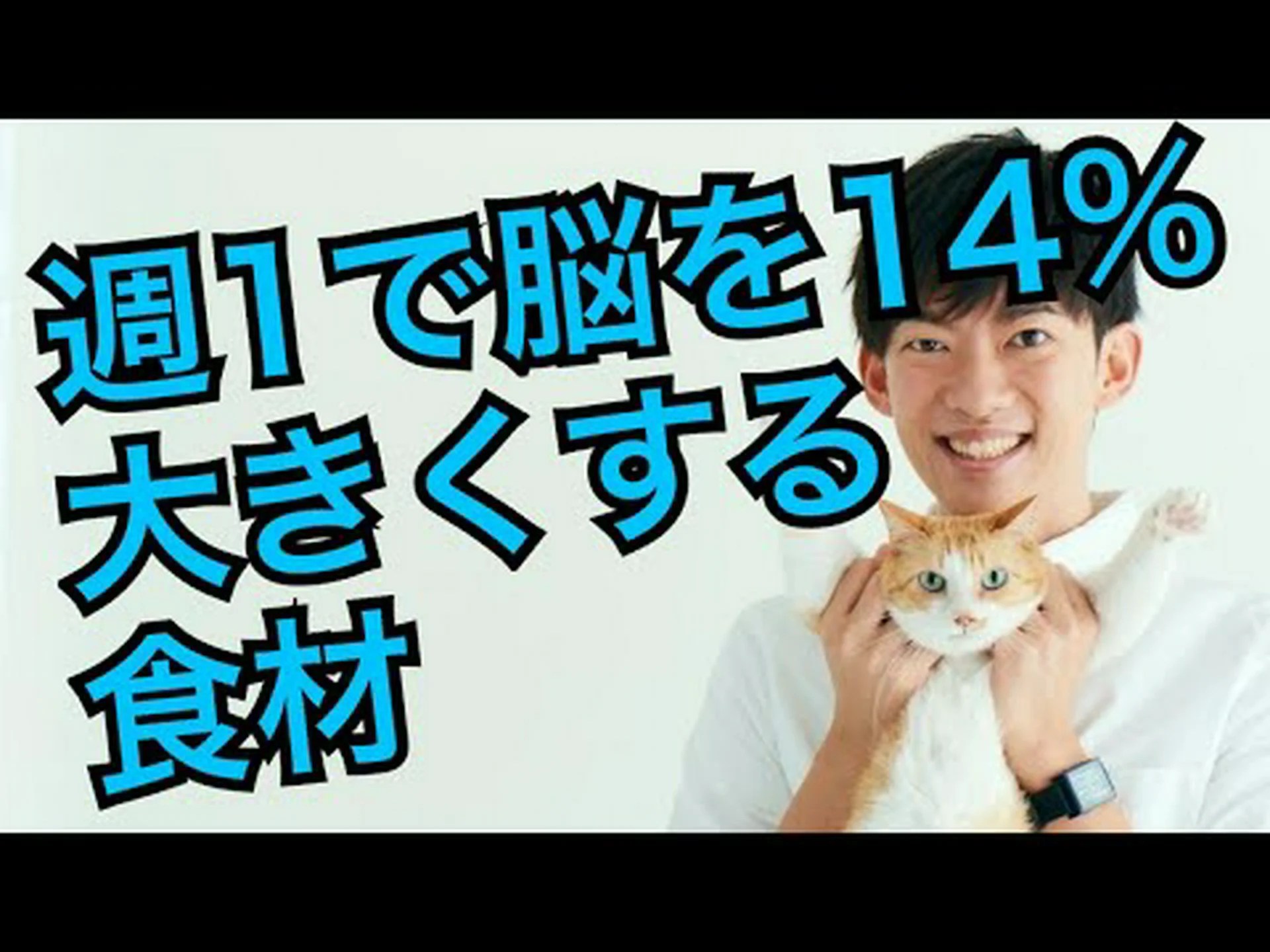 脳に良い14の食品 脳に良い14の食品