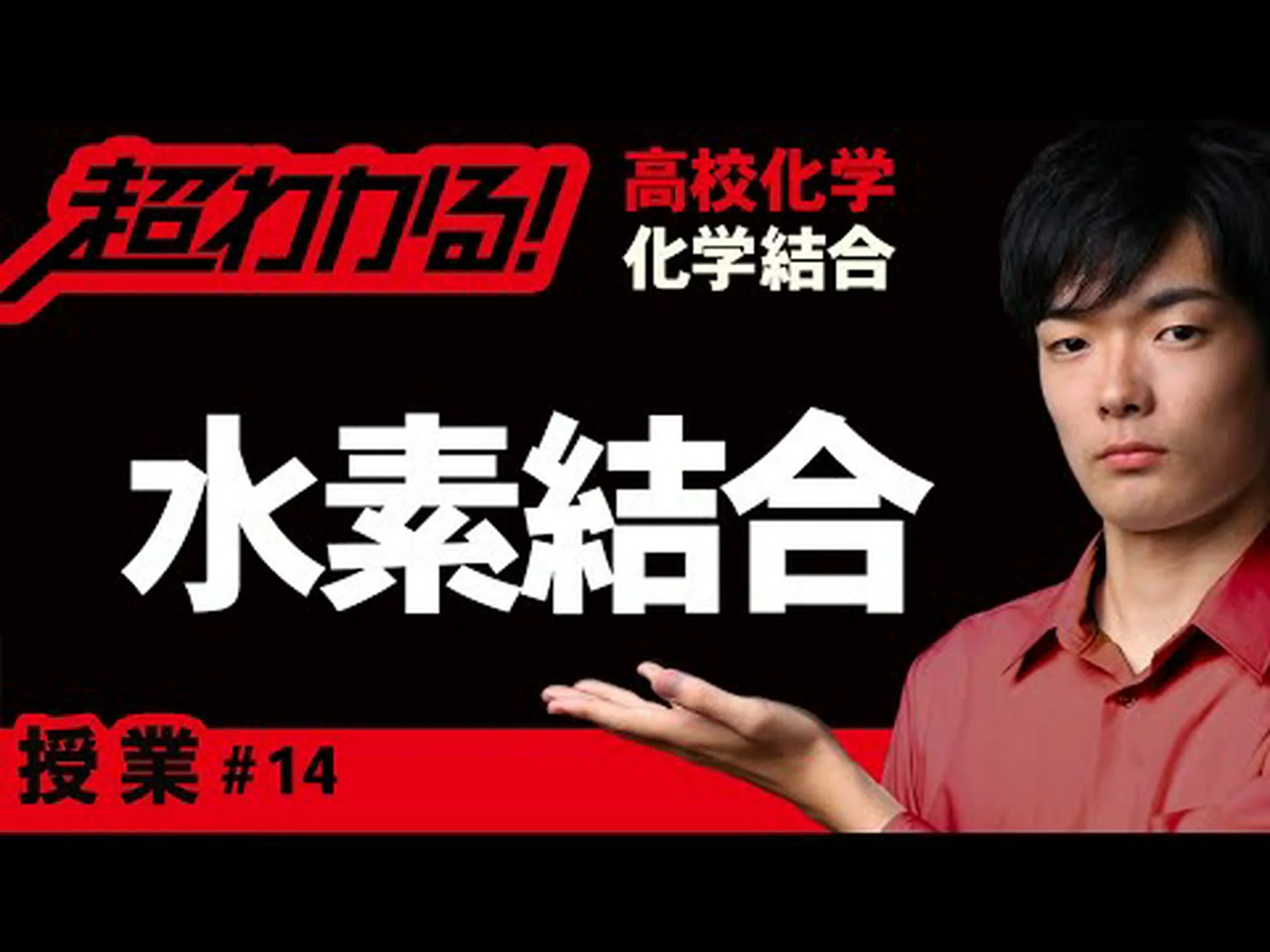 オレンジの皮に含まれる分子が肥満とアテローム性動脈硬化を大幅に軽減できると研究が発表 オレンジの皮に含まれる分子が肥満とアテローム性動脈硬化を大幅に軽減できると研究が発表