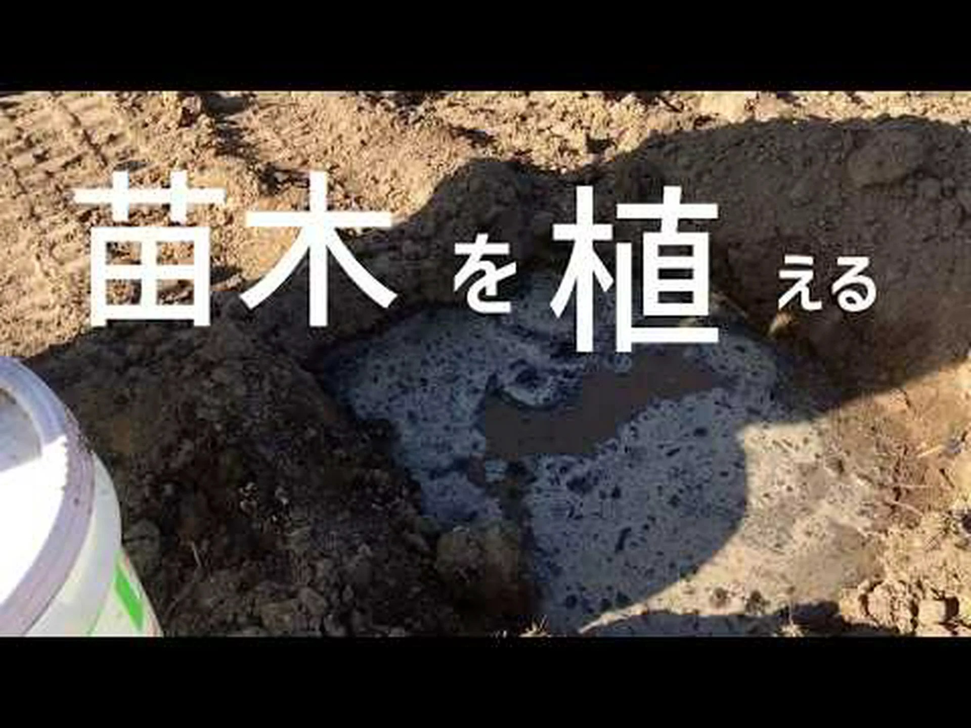 自宅で桃を植える方法 – ステップバイステップとケア 自宅で桃を植える方法 – ステップバイステップとケア