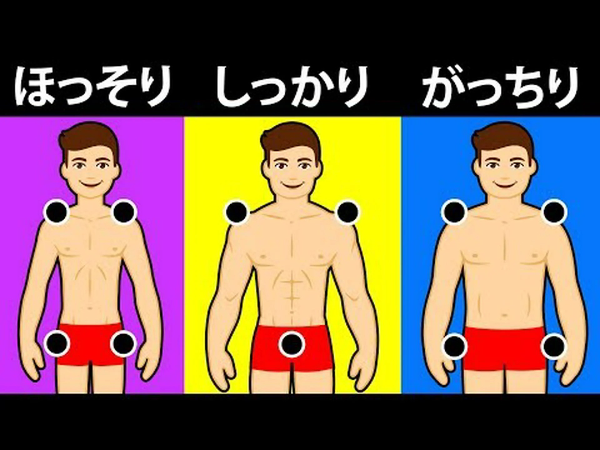 体型: 簡単なテストで自分の体型を発見 体型: 簡単なテストで自分の体型を発見