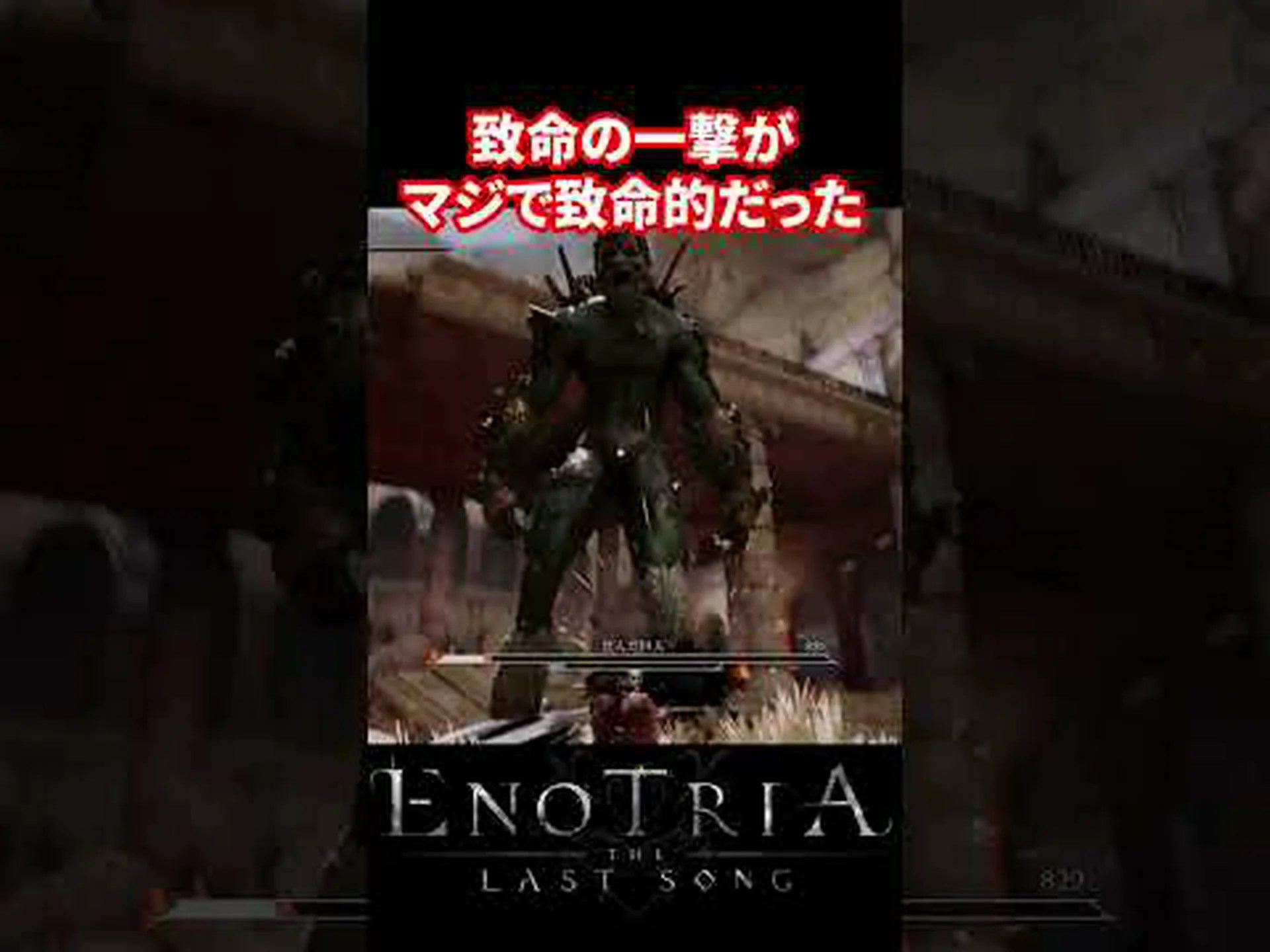 アロエイラの利点 – その用途と特性 アロエイラの利点 – その用途と特性