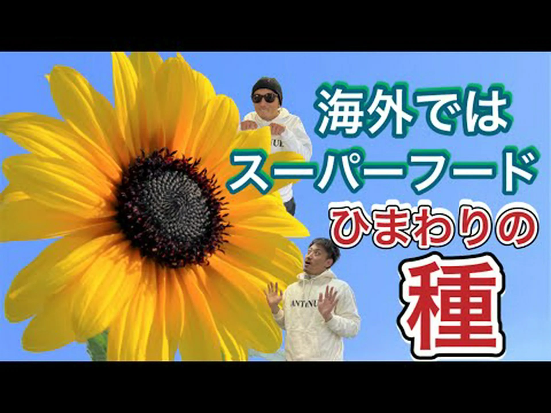 健康とフィットネスに対するヒマワリの種の利点 健康とフィットネスに対するヒマワリの種の利点