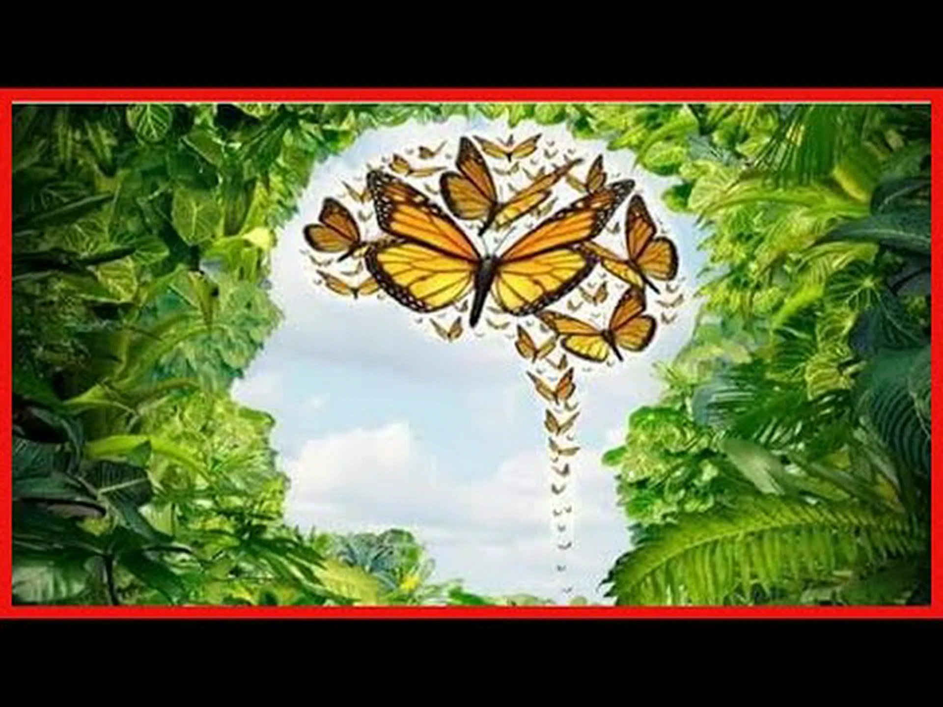 ロゴセラピー:それは何か、技術、そして誰がそれを行うことができますか ロゴセラピー:それは何か、技術、そして誰がそれを行うことができますか