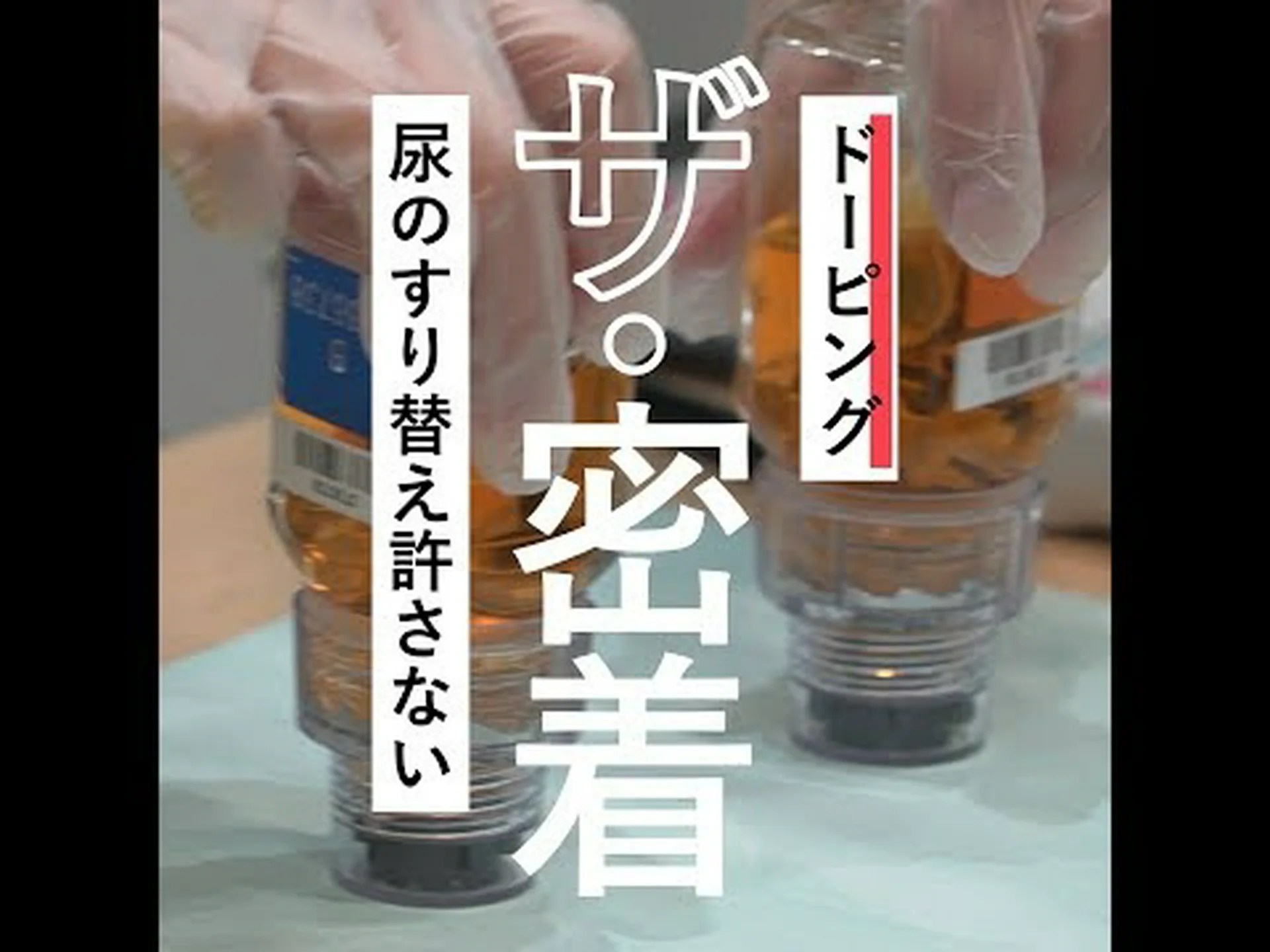 犬と共有した注射器でパラリンピックメダリストがドーピングの刑罰から解放される 犬と共有した注射器でパラリンピックメダリストがドーピングの刑罰から解放される