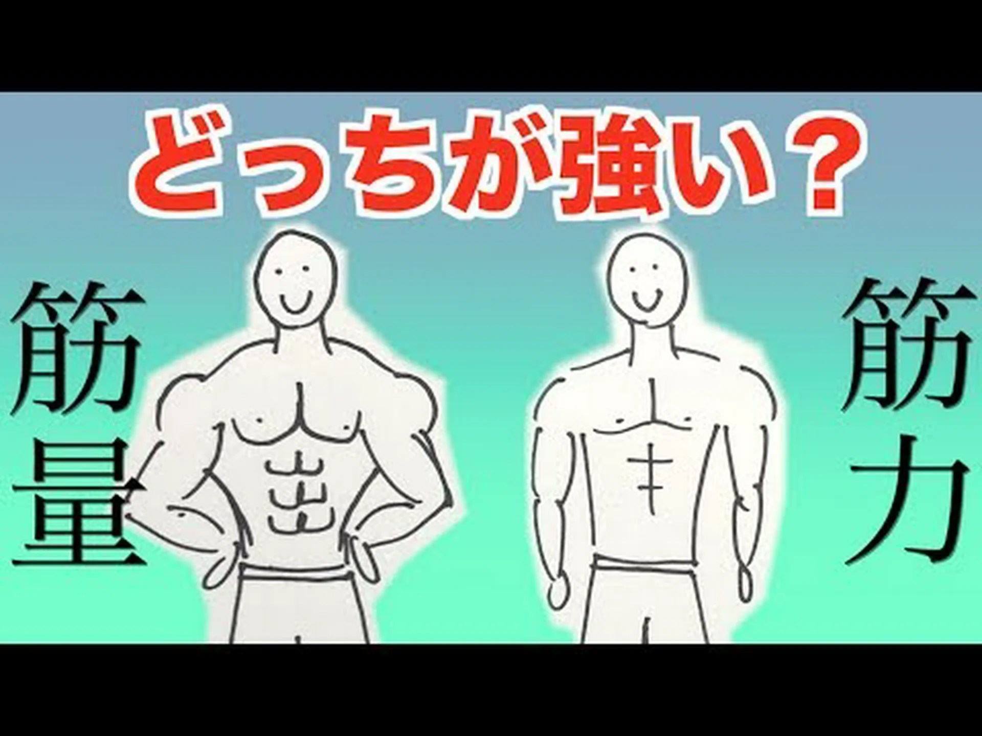 筋力と筋肉量の関係 筋力と筋肉量の関係