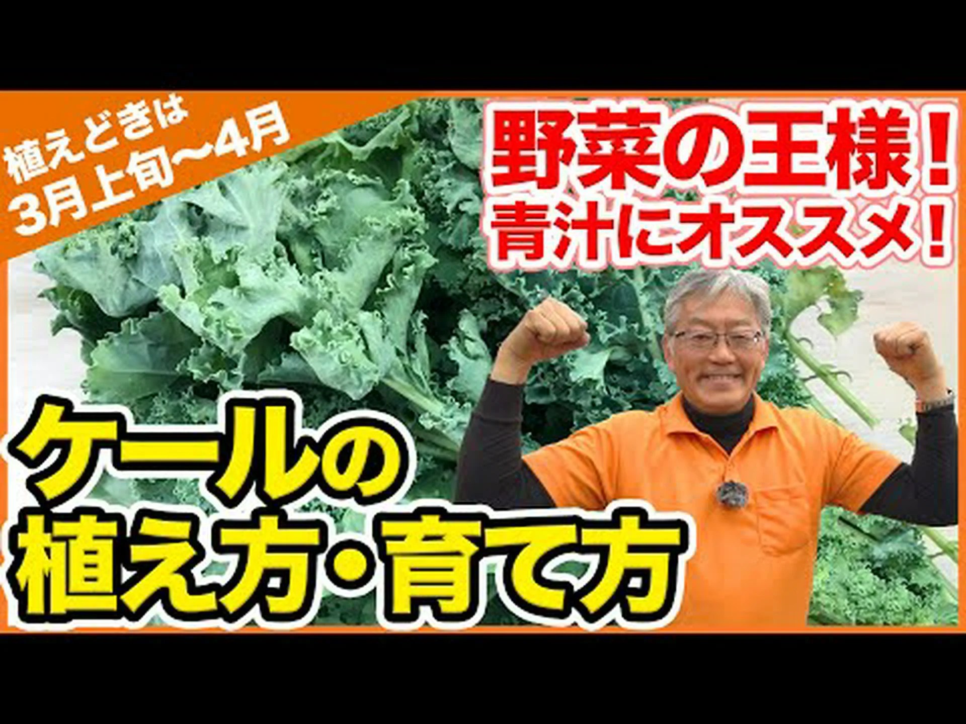 自宅でケールを植える方法 – ステップバイステップとヒント 自宅でケールを植える方法 – ステップバイステップとヒント
