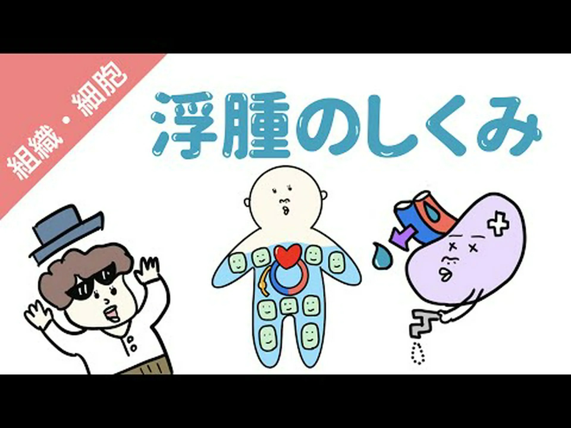 リンパ浮腫とは何か、症状、原因、種類、治療法 リンパ浮腫とは何か、症状、原因、種類、治療法