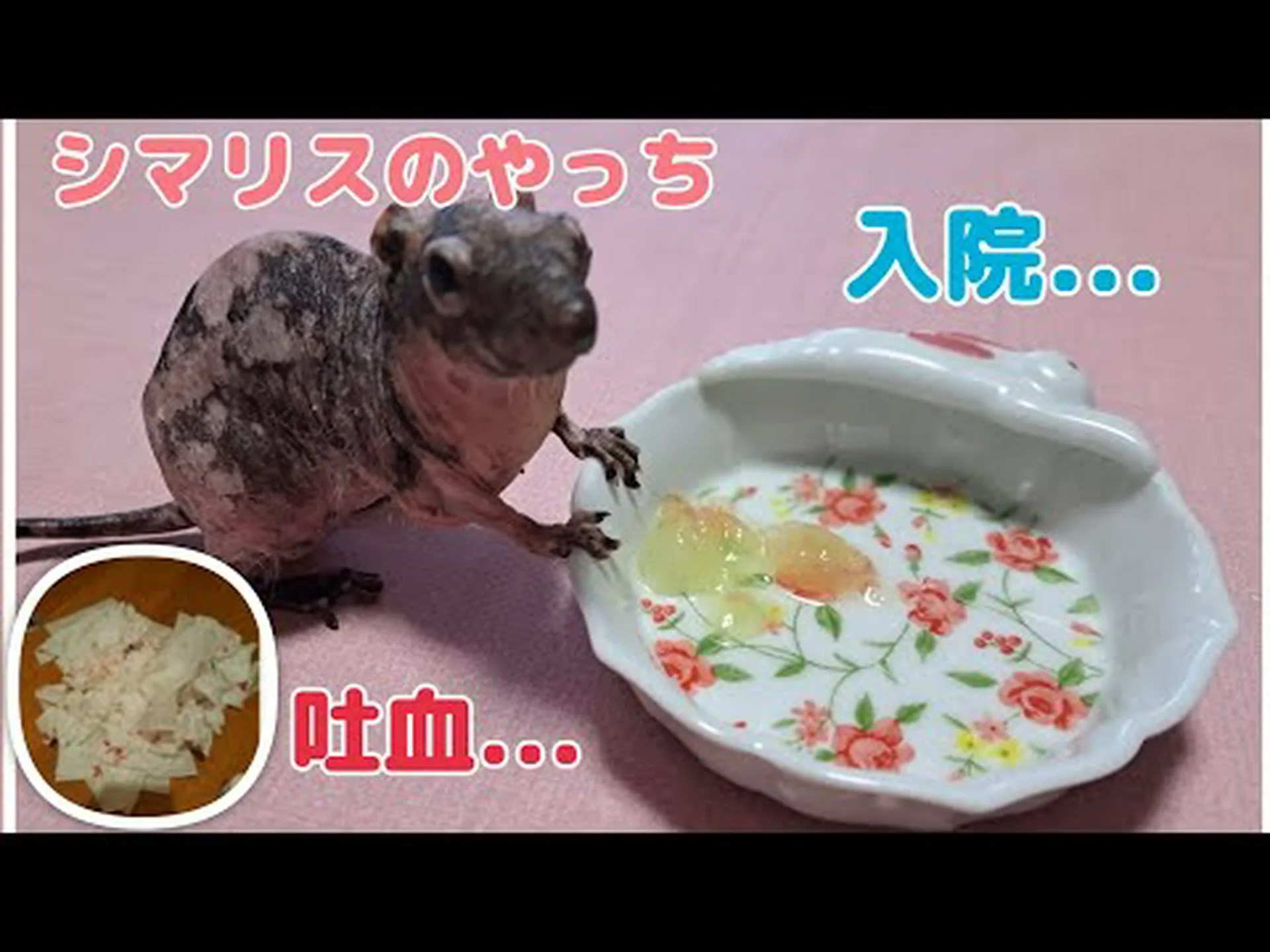 女性が偽オゼンピック注射後に吐血で入院、理解 女性が偽オゼンピック注射後に吐血で入院、理解