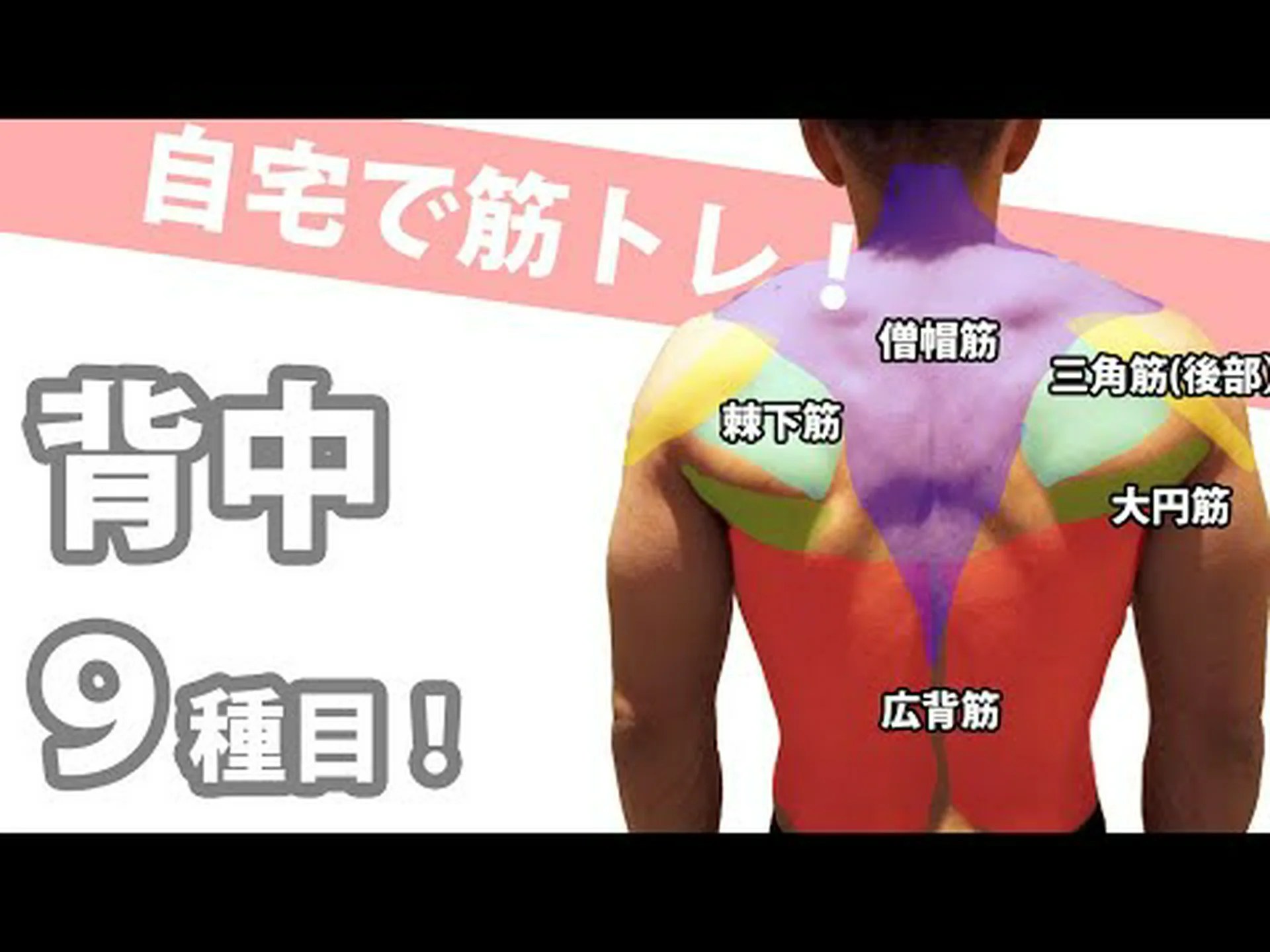 器具を使わずに自宅で背中を鍛える方法 – 9 つのベストエクササイズ 器具を使わずに自宅で背中を鍛える方法 – 9 つのベストエクササイズ