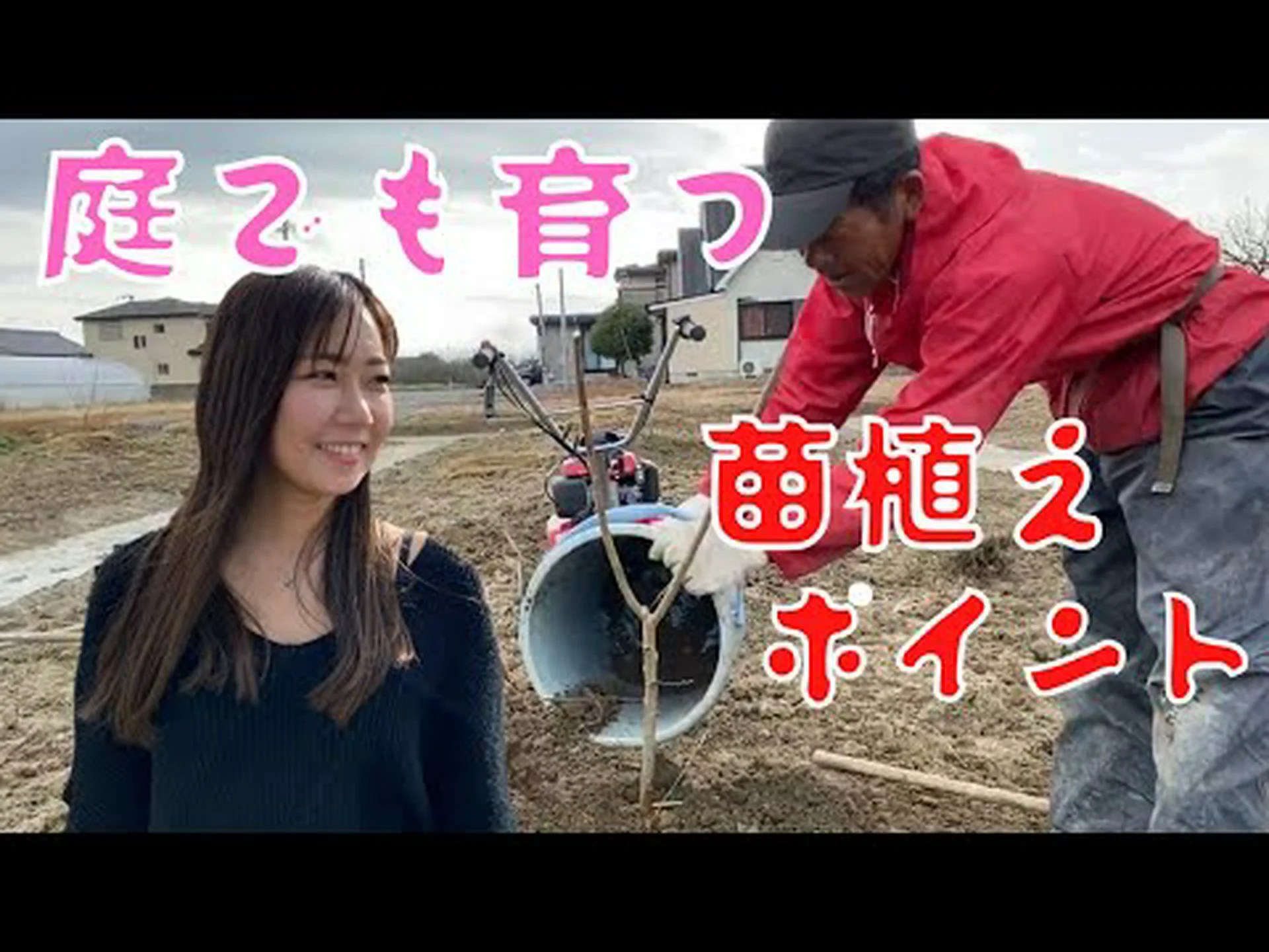 自宅で梅を植える方法 – ステップバイステップとケア 自宅で梅を植える方法 – ステップバイステップとケア