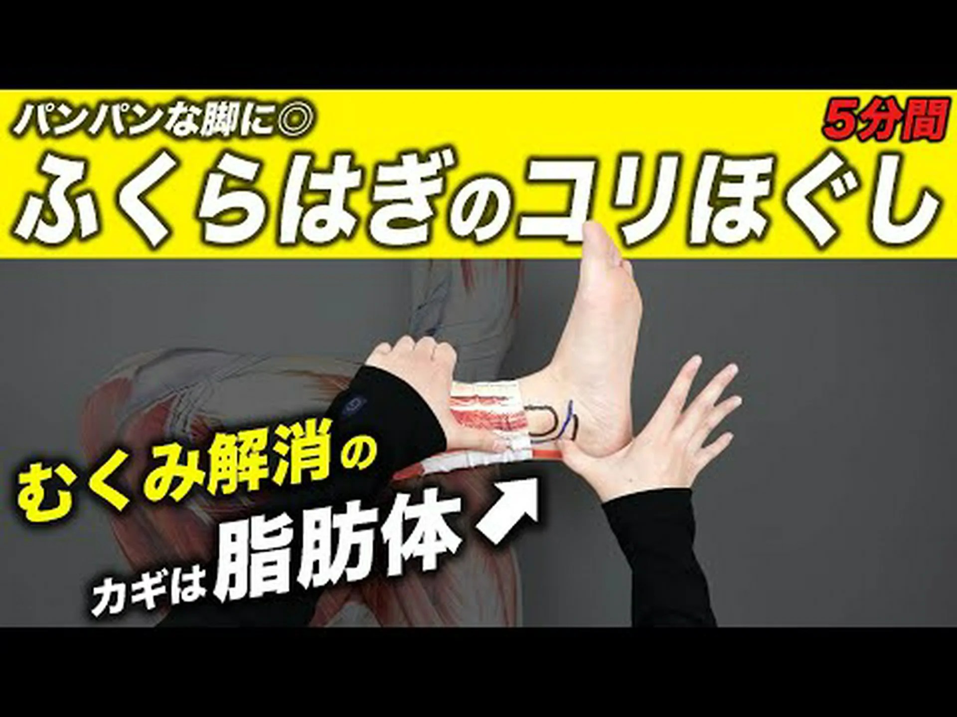 ふくらはぎのストレッチベスト5 ふくらはぎのストレッチベスト5