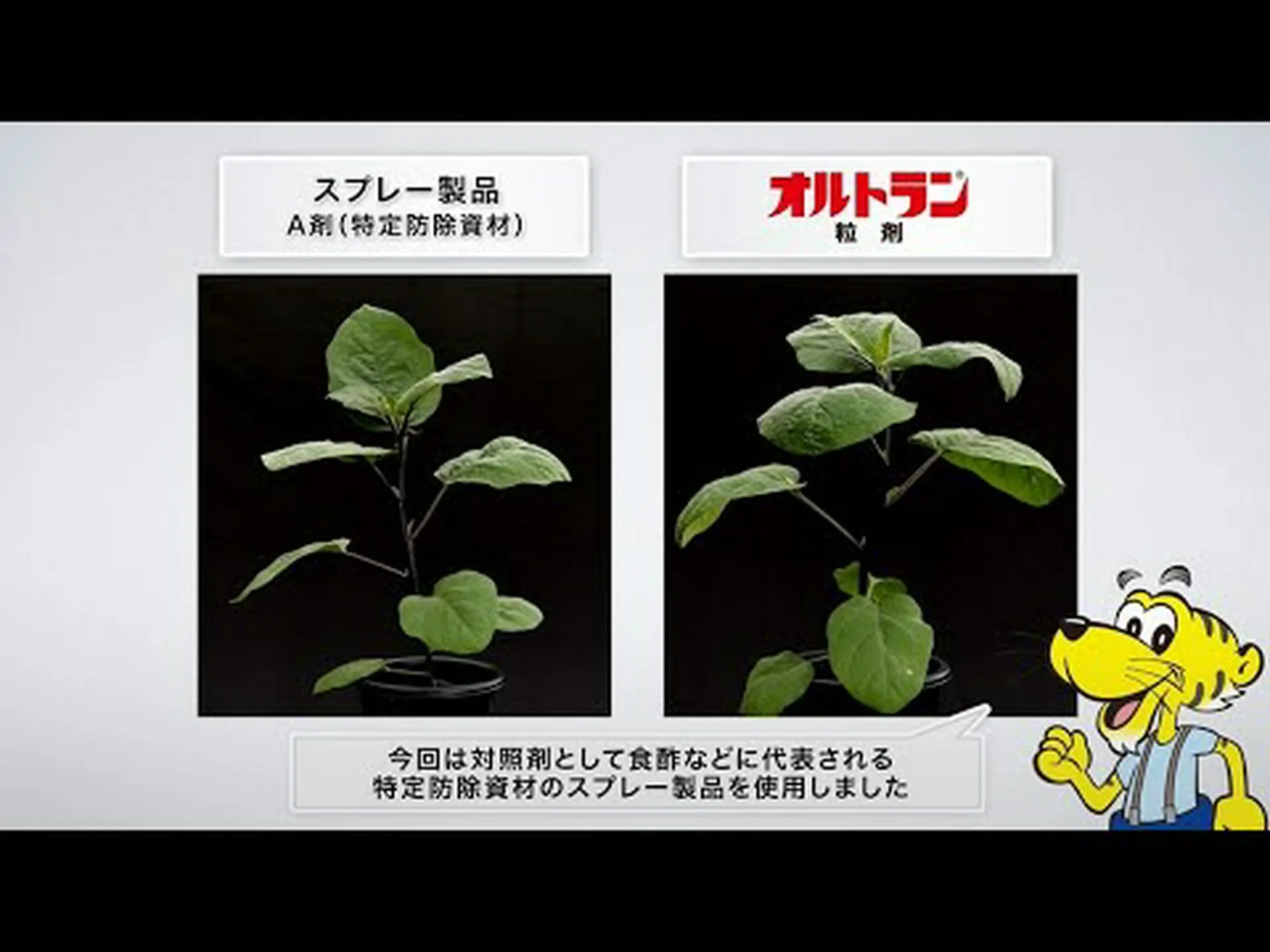 Pear の利点 – 用途、使用方法 Pear の利点 – 用途、使用方法