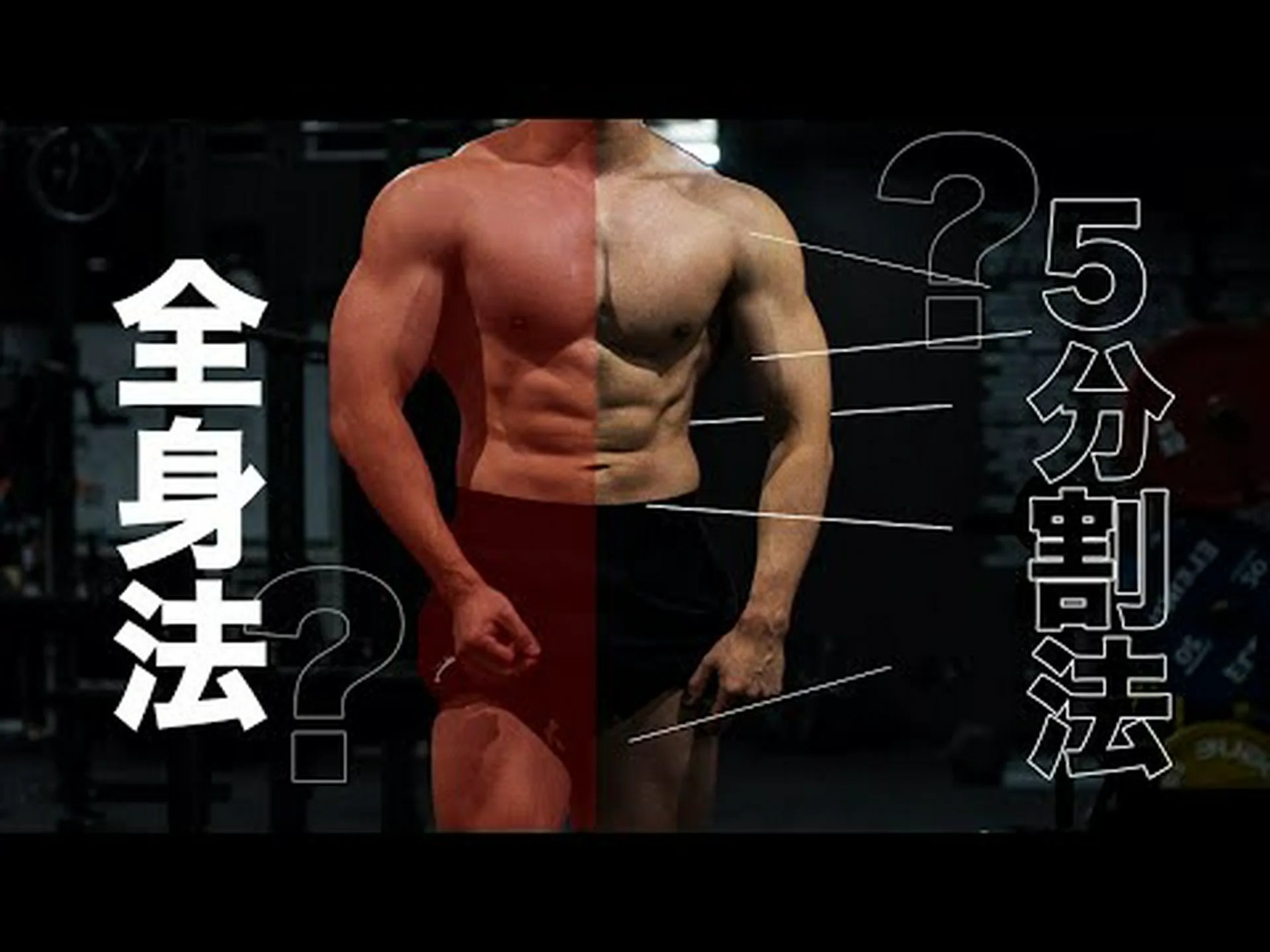 筋肥大のための完全な脚トレーニングとそのヒント 筋肥大のための完全な脚トレーニングとそのヒント