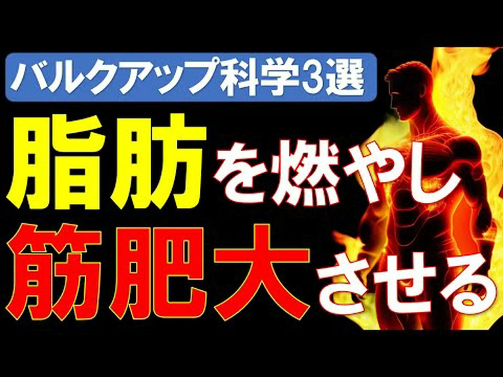 筋肉量を増やすためのベスト複合エクササイズ6選 筋肉量を増やすためのベスト複合エクササイズ6選