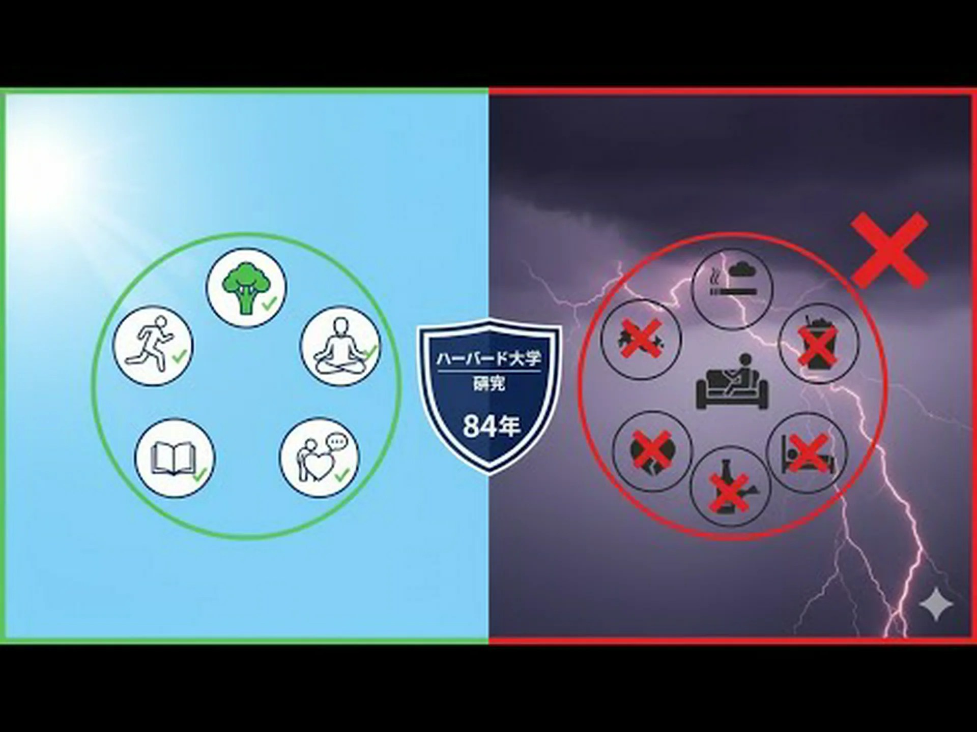 ハーバード大学、長寿の鍵となる可能性のある食生活を指摘 ハーバード大学、長寿の鍵となる可能性のある食生活を指摘