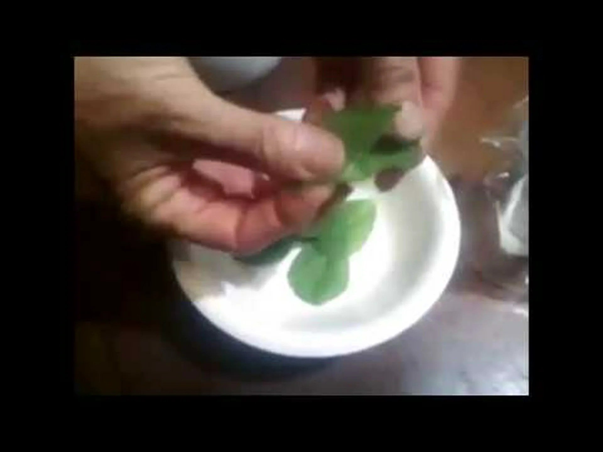 ラングワート茶 – その目的と作り方 ラングワート茶 – その目的と作り方