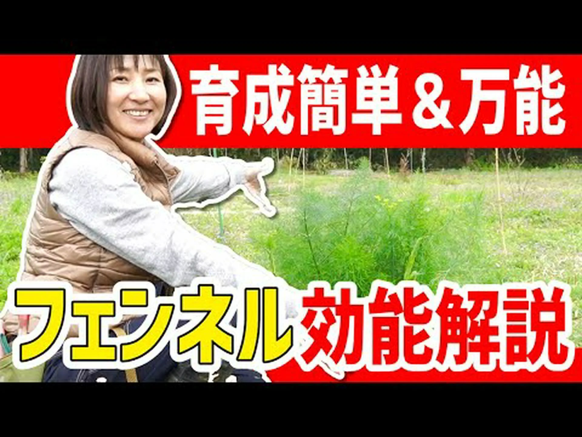 フェンネルティーの7つの利点:その目的と特性 フェンネルティーの7つの利点:その目的と特性