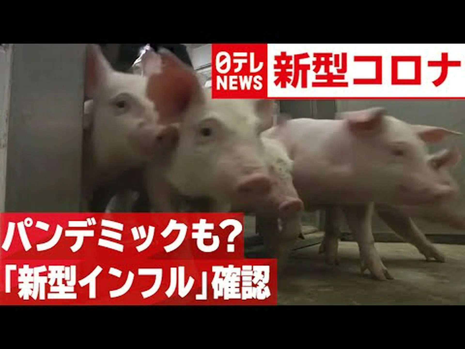 パンデミックの可能性のある新型インフルエンザウイルスが中国で発見 パンデミックの可能性のある新型インフルエンザウイルスが中国で発見