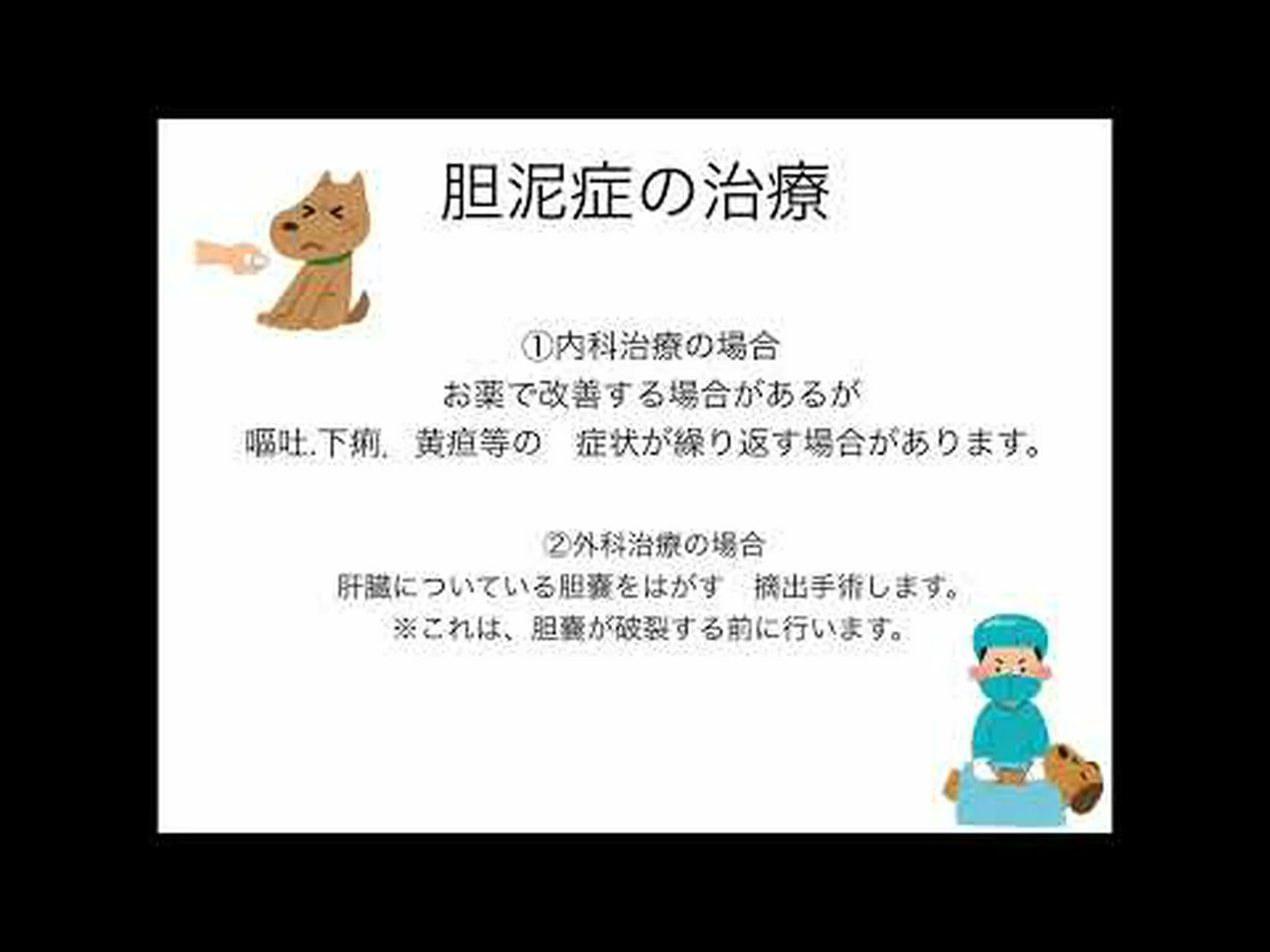 胆泥とは何か、症状、原因、治療法 胆泥とは何か、症状、原因、治療法