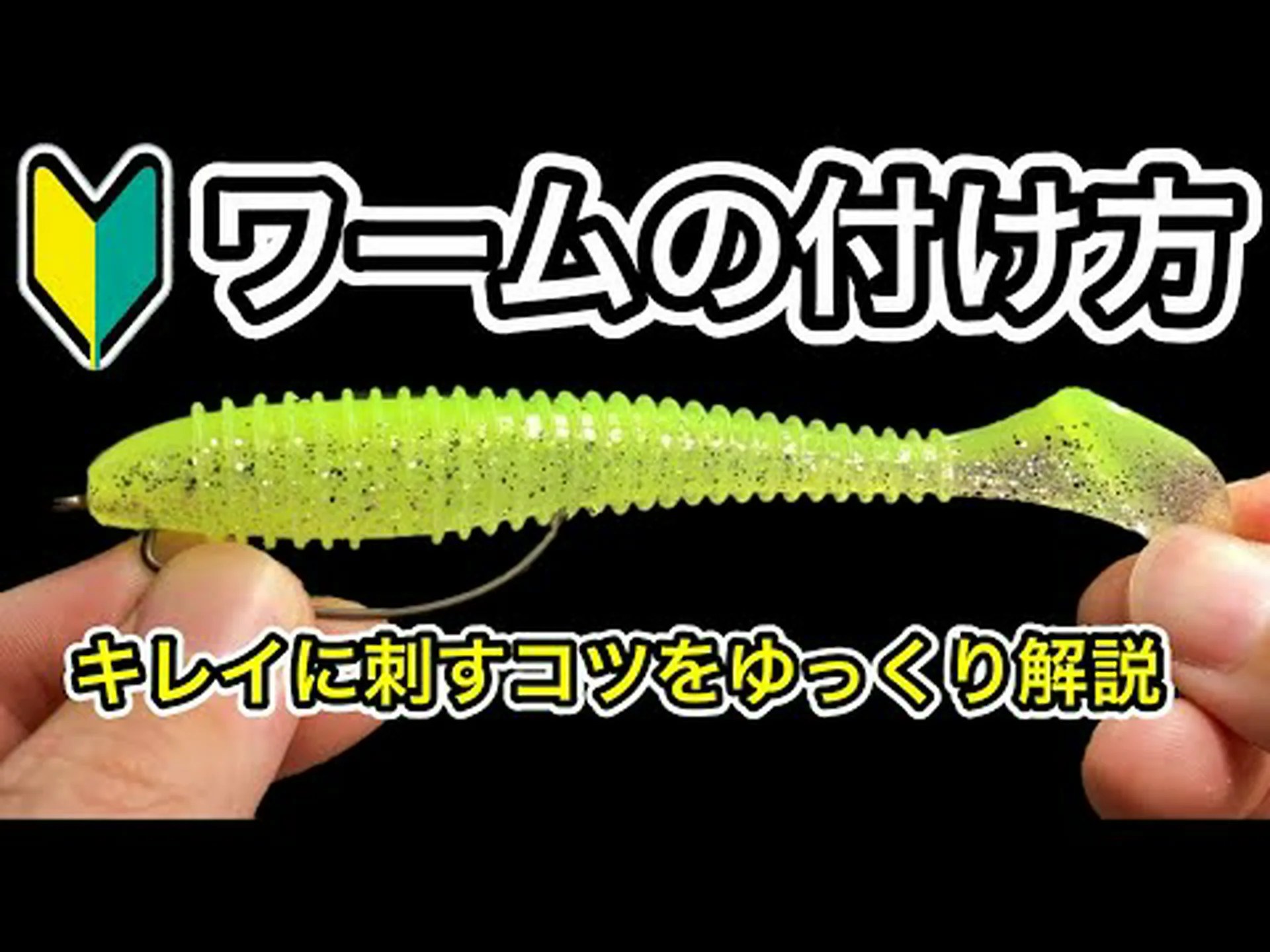 ワームの 12 の症状 – 種類と治療方法 ワームの 12 の症状 – 種類と治療方法