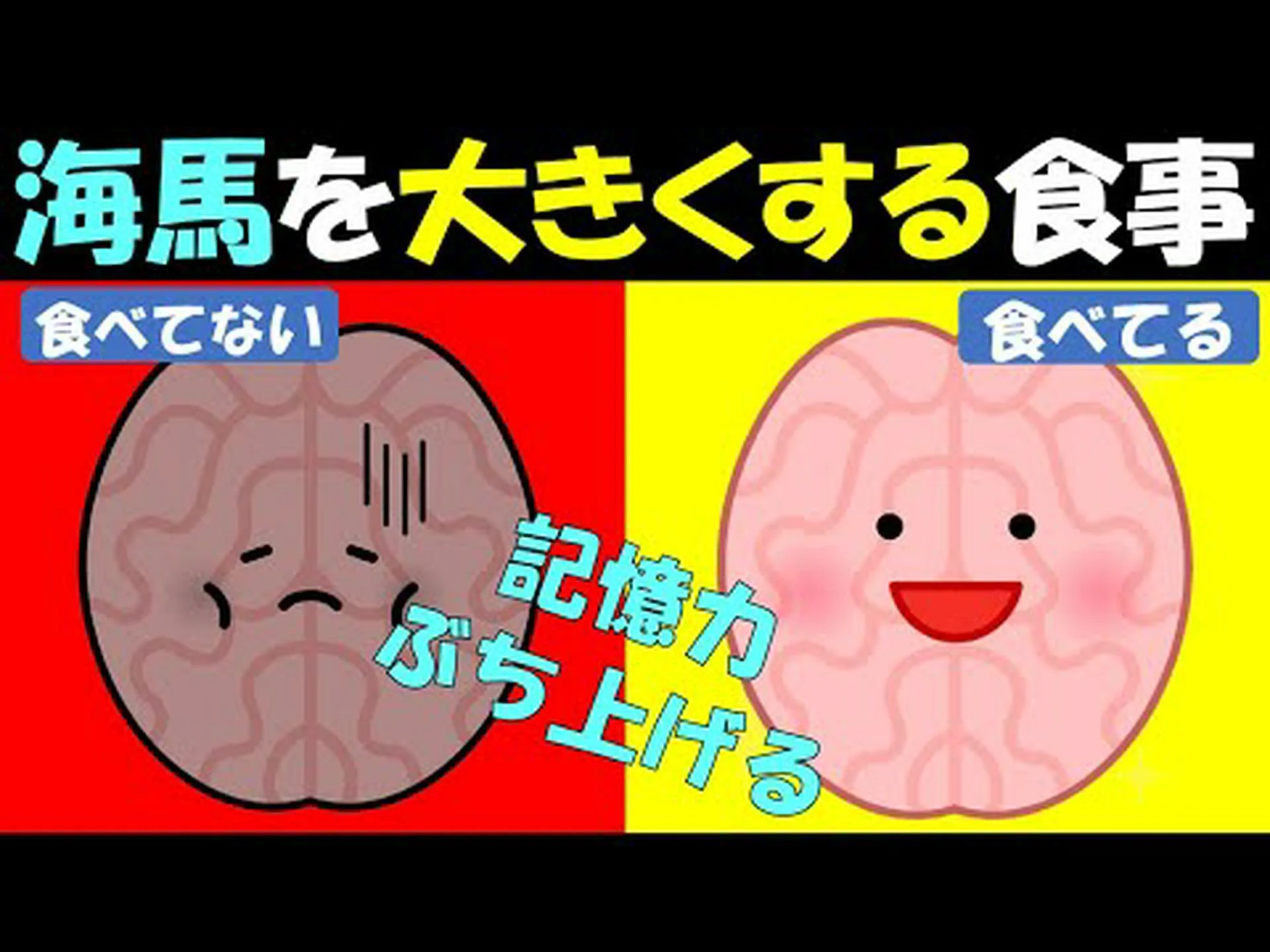 ジャンクフードは記憶力に深刻な影響を与える可能性があることがハーバード大学の研究で判明 ジャンクフードは記憶力に深刻な影響を与える可能性があることがハーバード大学の研究で判明