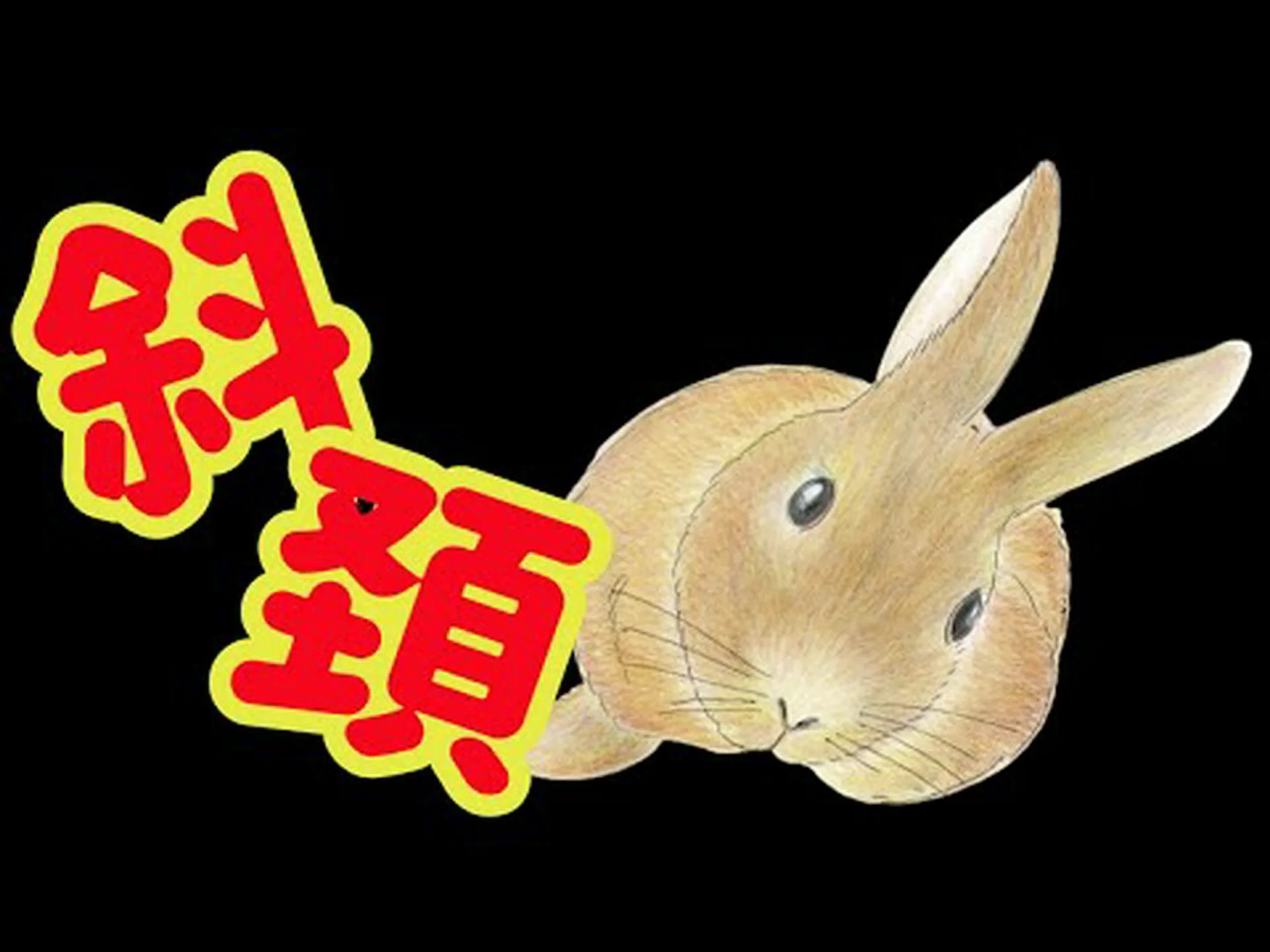 斜頸 – 何をすべきか?それは何ですか、症状と治療法 斜頸 – 何をすべきか?それは何ですか、症状と治療法