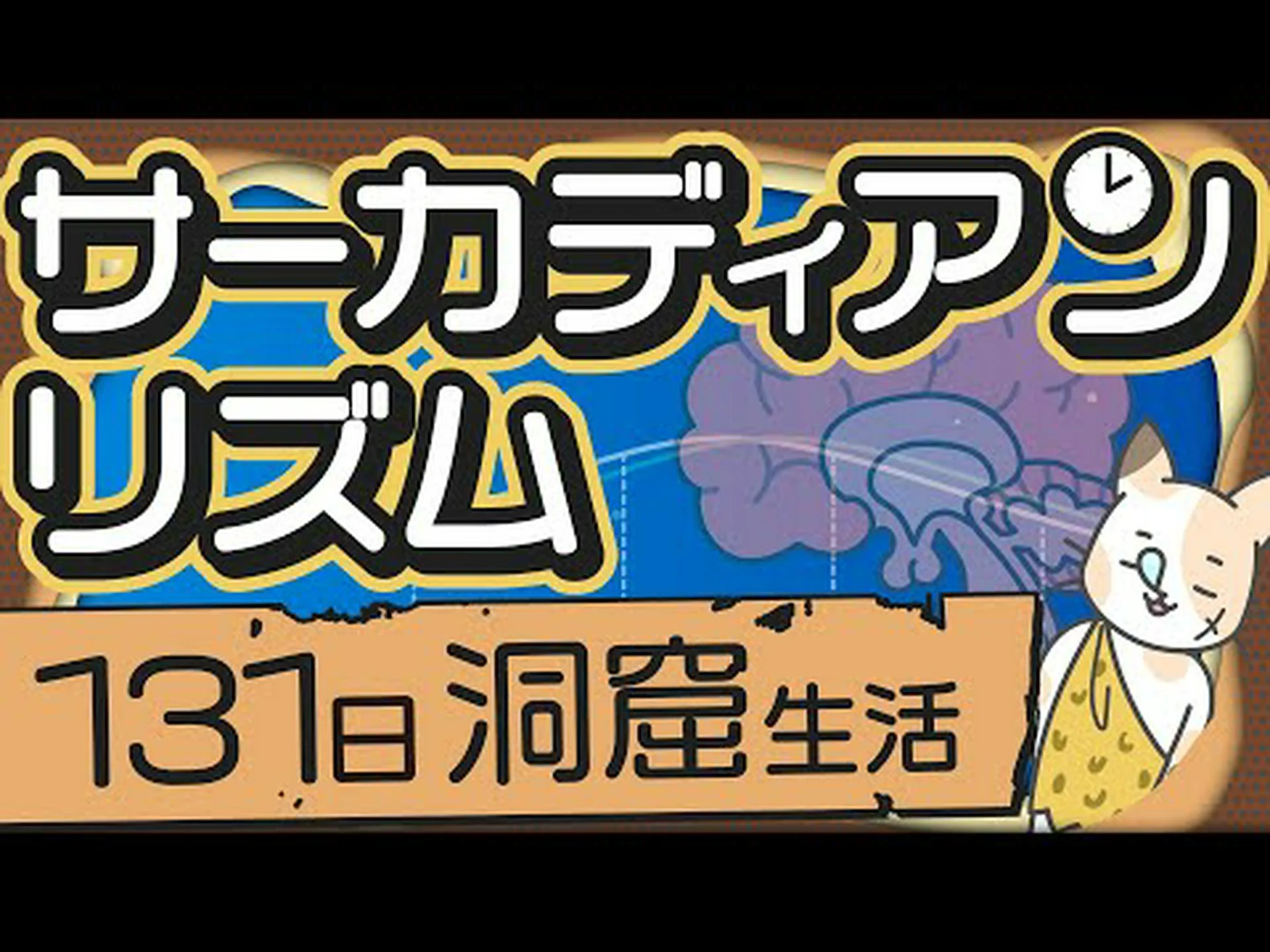 サーカディアンリズム – 概要、仕組み、コルチゾール、睡眠、ヒント サーカディアンリズム – 概要、仕組み、コルチゾール、睡眠、ヒント