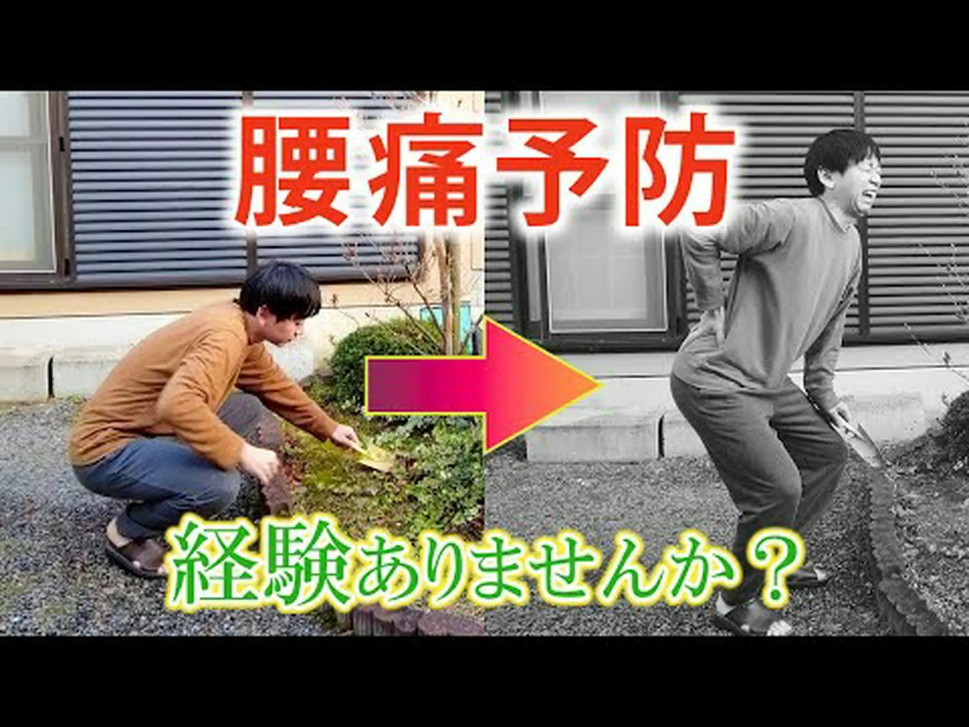 これらの簡単なアクティビティは腰痛の予防に役立ちます これらの簡単なアクティビティは腰痛の予防に役立ちます