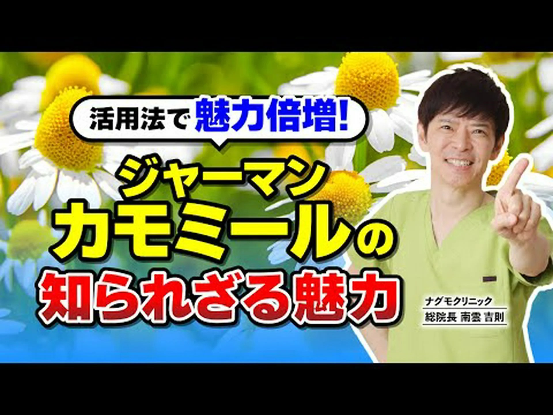 妊婦はカモミールティーを飲んでも大丈夫? 妊婦はカモミールティーを飲んでも大丈夫?