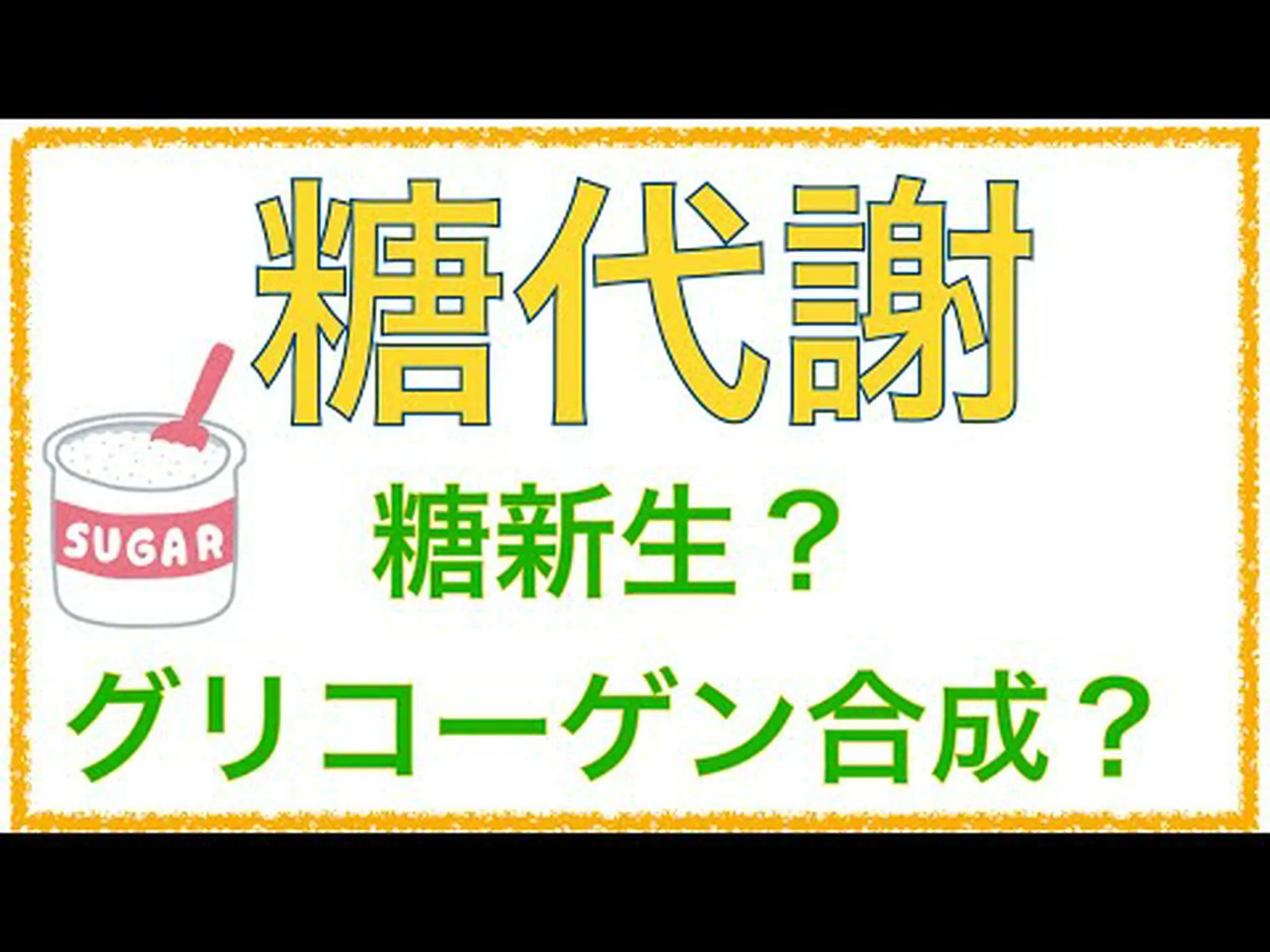糖新生 – それは何で、何のためにあるのか 糖新生 – それは何で、何のためにあるのか