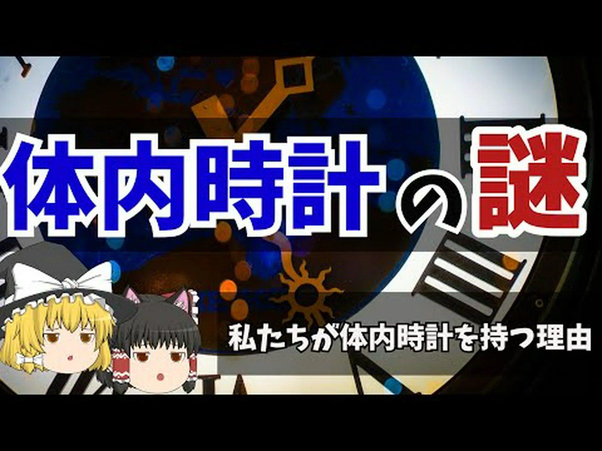 体内時計 – 概要、仕組み、睡眠、妊娠、老化、ヒント 体内時計 – 概要、仕組み、睡眠、妊娠、老化、ヒント