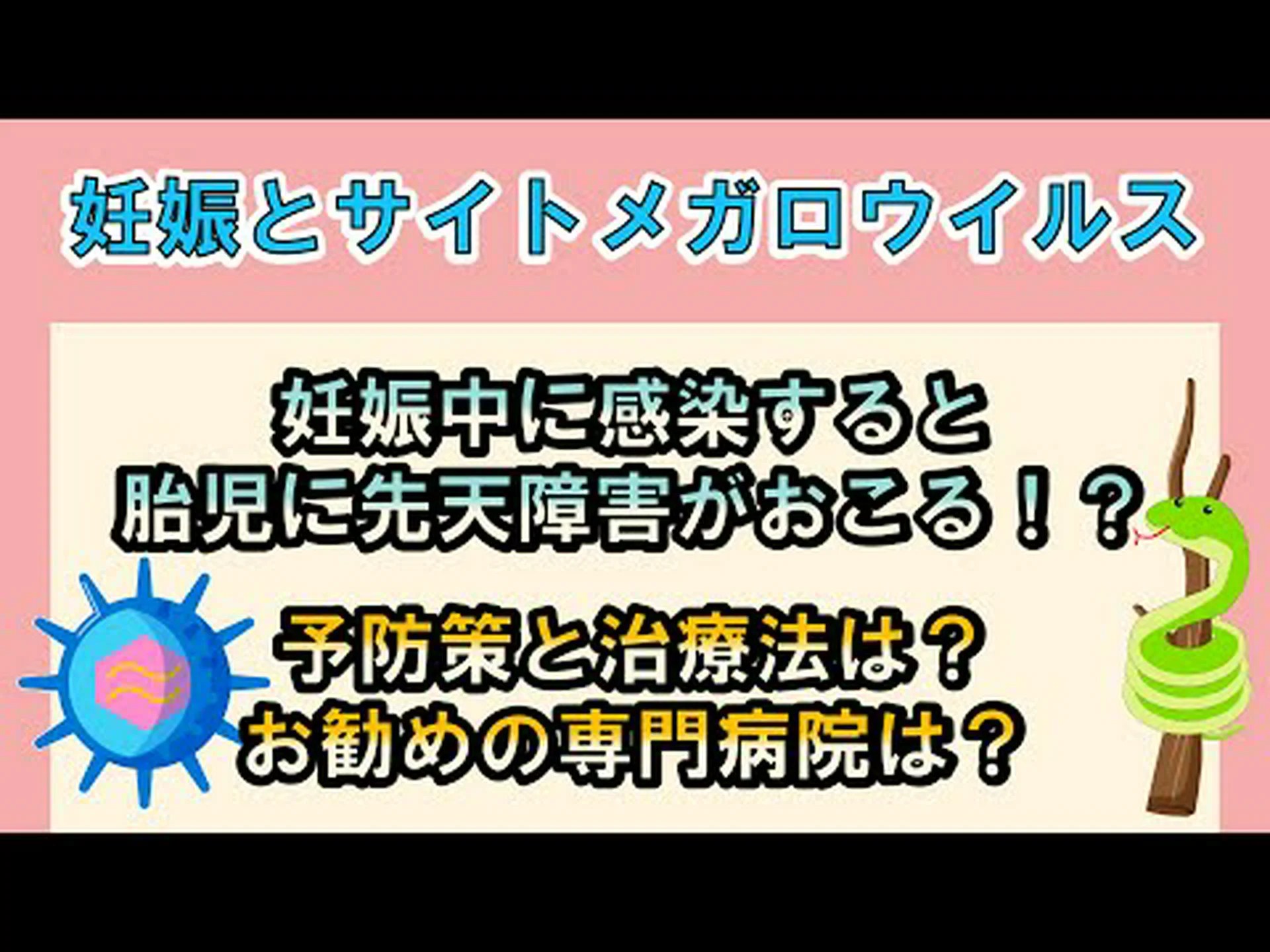 サイトメガロウイルスとは何ですか? IgG と IgM、妊娠中の症状、リスク、および治療 サイトメガロウイルスとは何ですか? IgG と IgM、妊娠中の症状、リスク、および治療