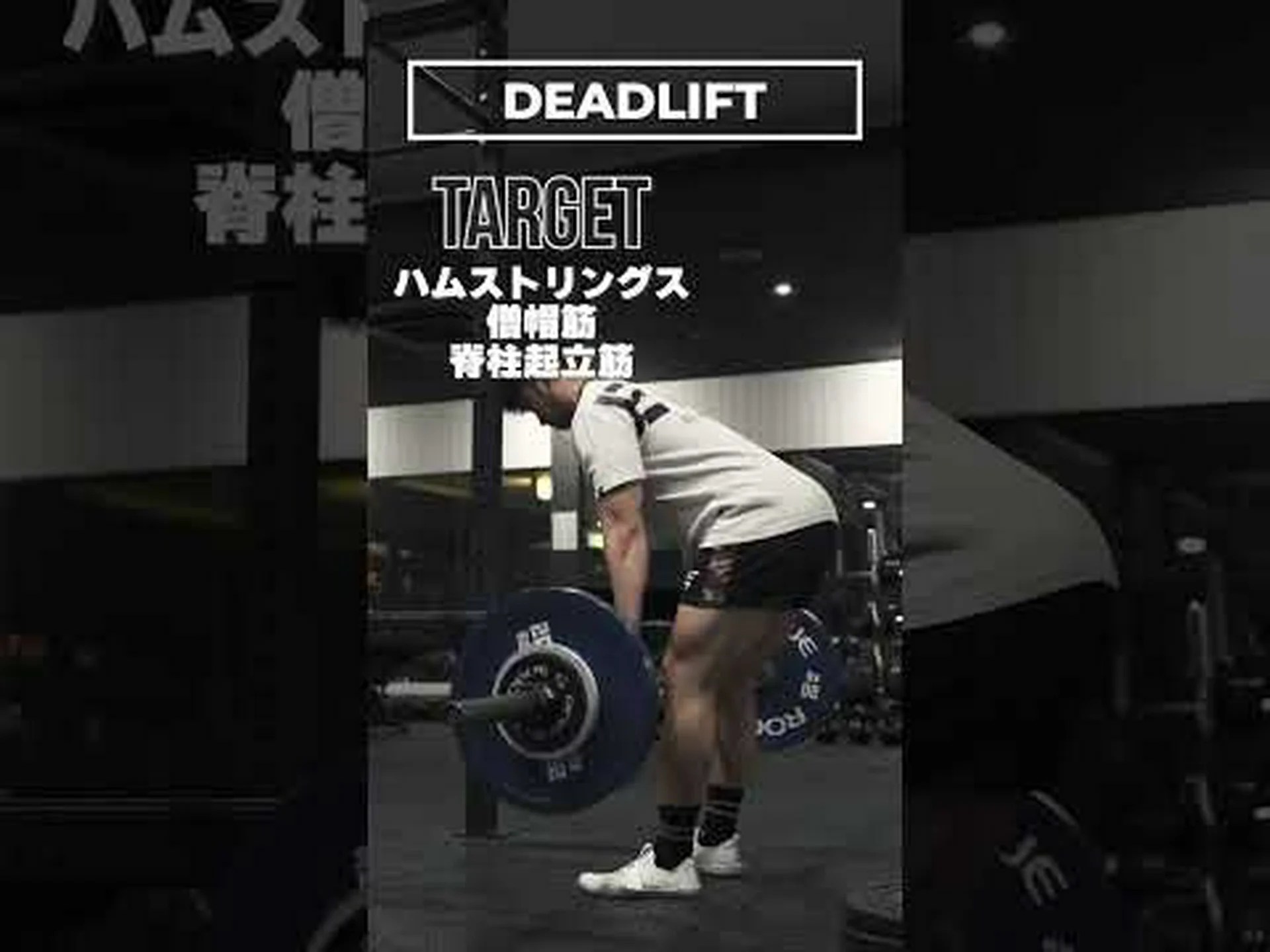 筋肥大のための5つのトレーニング 筋肥大のための5つのトレーニング