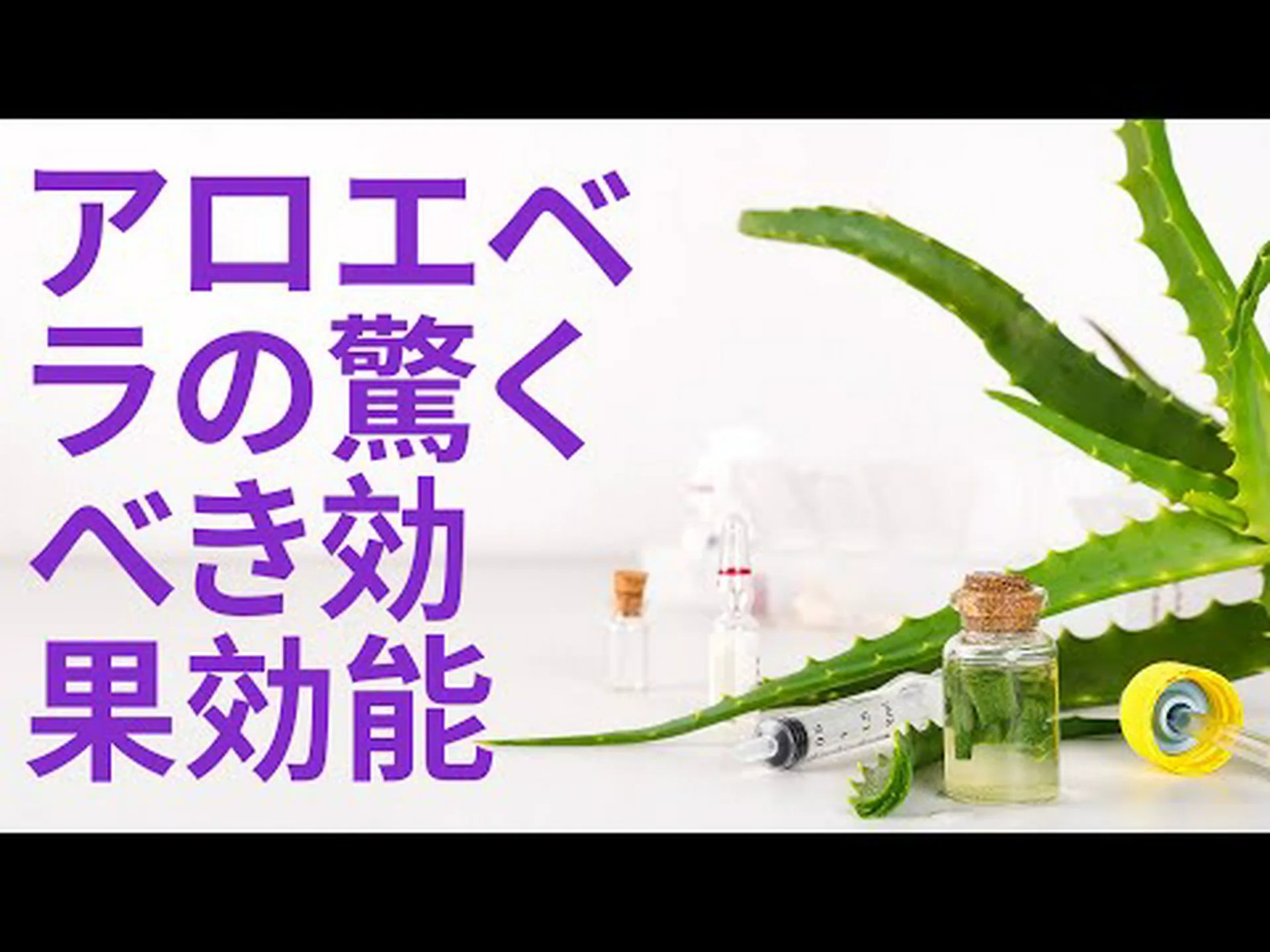 アロエベラは本当に痩せるの? アロエベラは本当に痩せるの?