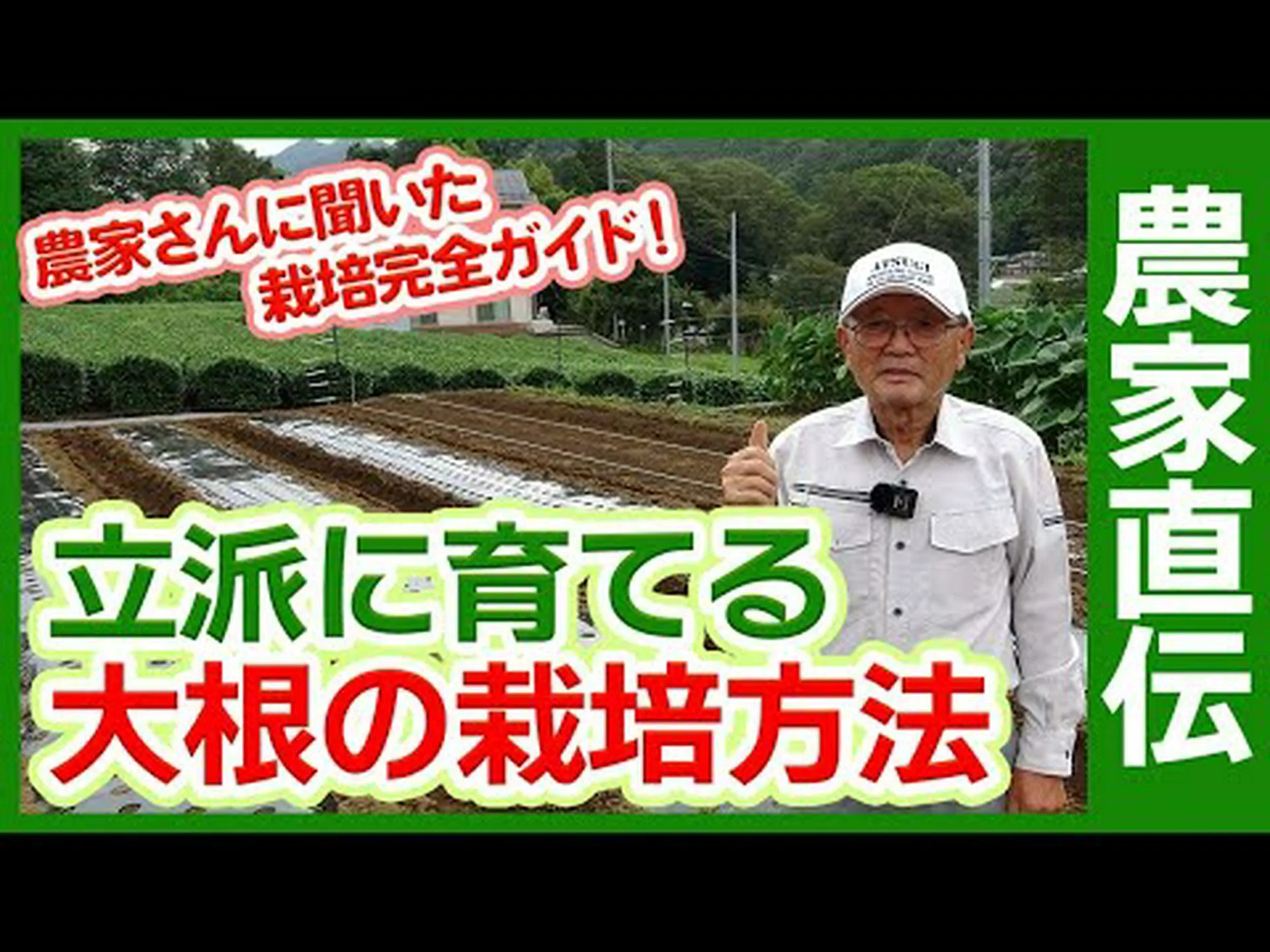 自宅で大根を植える方法 – ステップバイステップとケア 自宅で大根を植える方法 – ステップバイステップとケア