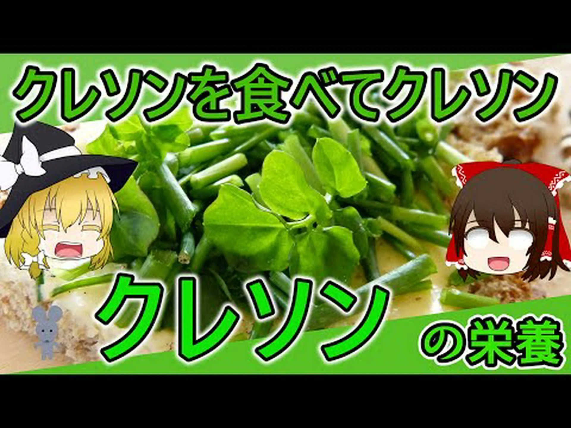 クレソンは本当に痩せるのか? クレソンは本当に痩せるのか?