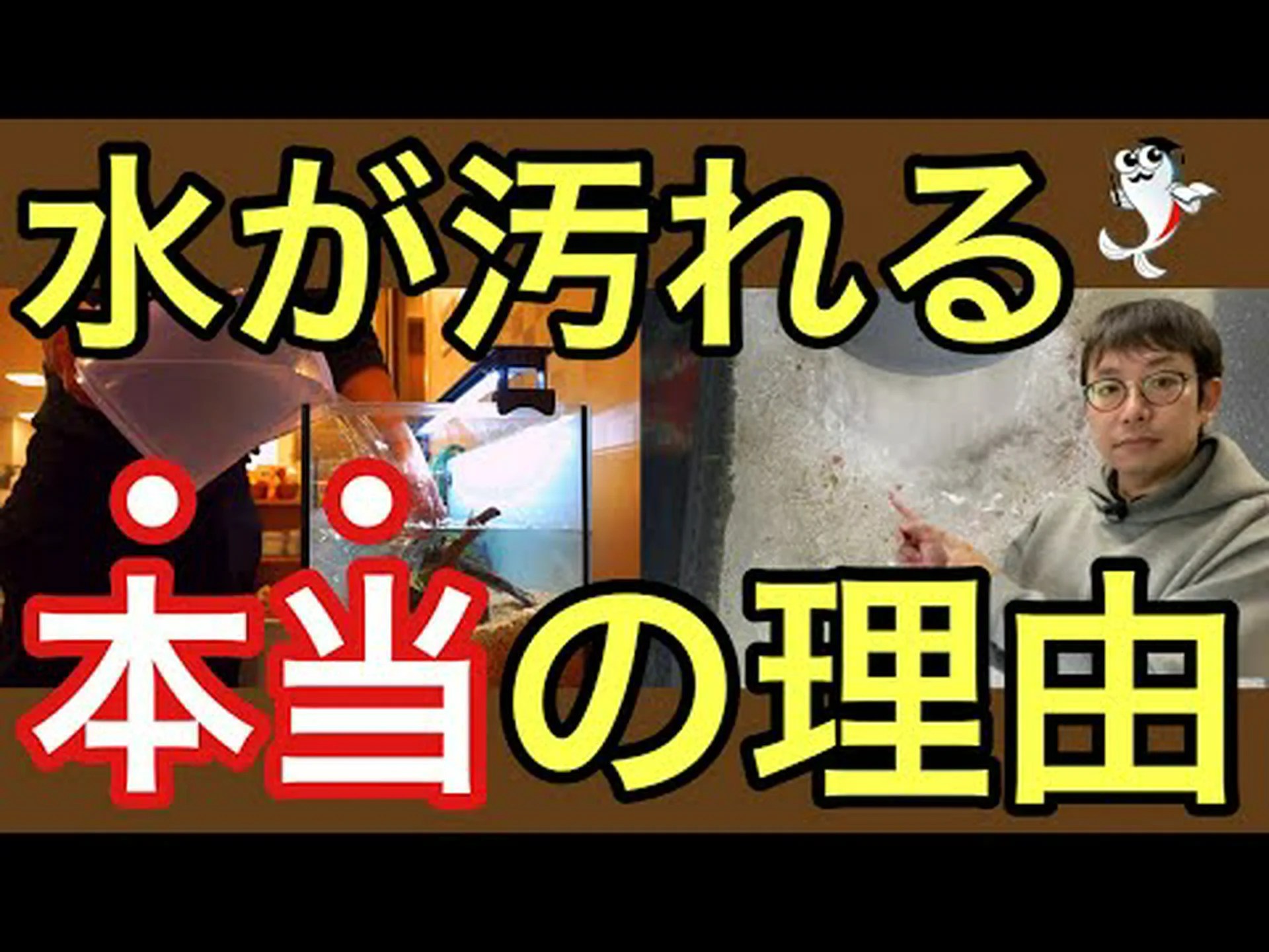 ファストフードはスリムを保つバクテリアを殺す、研究結果 ファストフードはスリムを保つバクテリアを殺す、研究結果