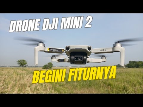 DJI Mini 2: Drone Canggih untuk Karya Profesional