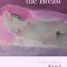 Transformative Insights Await: A Review of Beauty without the Breast (Women, Health, and Equity Book 1) Transformative Insights Await: A Review of Beauty without the Breast (Women, Health, and Equity Book 1)