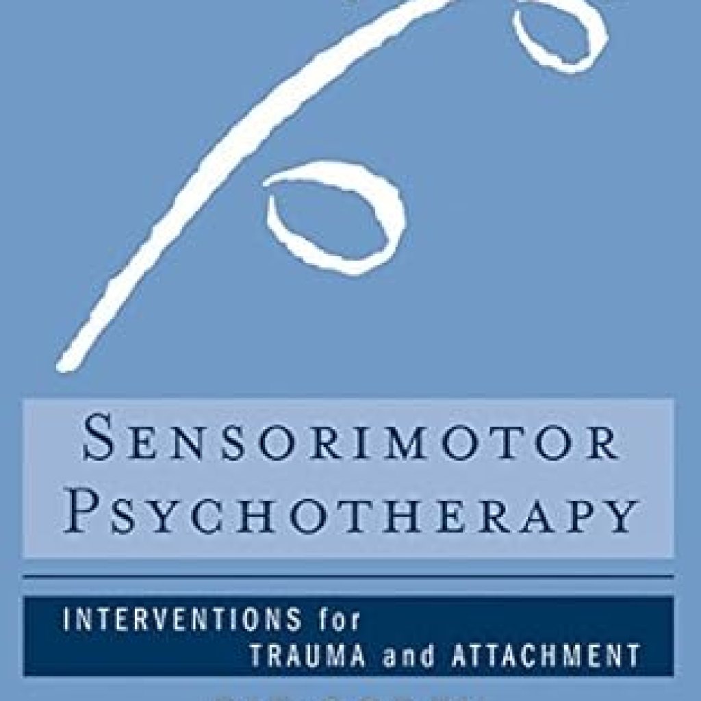 Transform Your Healing Journey: A Deep Dive into Sensorimotor Psychotherapy: Interventions for Trauma and Attachment (Norton Series on Interpersonal Neurobiology) Csm Edition Transform Your Healing Journey: A Deep Dive into Sensorimotor Psychotherapy: Interventions for Trauma and Attachment (Norton Series on Interpersonal Neurobiology) Csm Edition