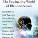 Unlock the Secrets of Your Senses: A Comprehensive Review of ‘Synesthesia: The Fascinating World of Blended Senses’ – Explore Types, Tests, Symptoms, Causes, and Treatment Options! Unlock the Secrets of Your Senses: A Comprehensive Review of ‘Synesthesia: The Fascinating World of Blended Senses’ – Explore Types, Tests, Symptoms, Causes, and Treatment Options!