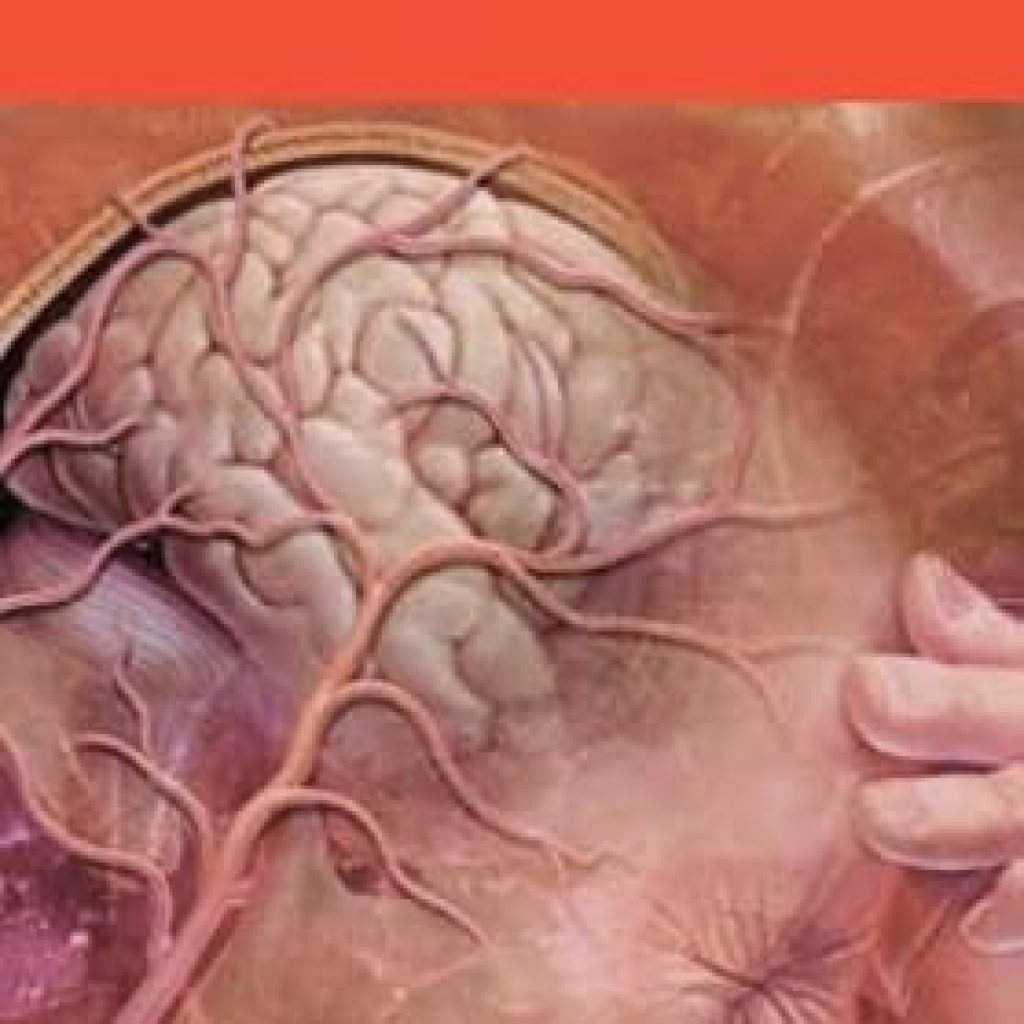 Essential Insights and Expert Techniques: A Comprehensive Review of ‘Neurosurgery: by Knowledge Flow’ Essential Insights and Expert Techniques: A Comprehensive Review of ‘Neurosurgery: by Knowledge Flow’